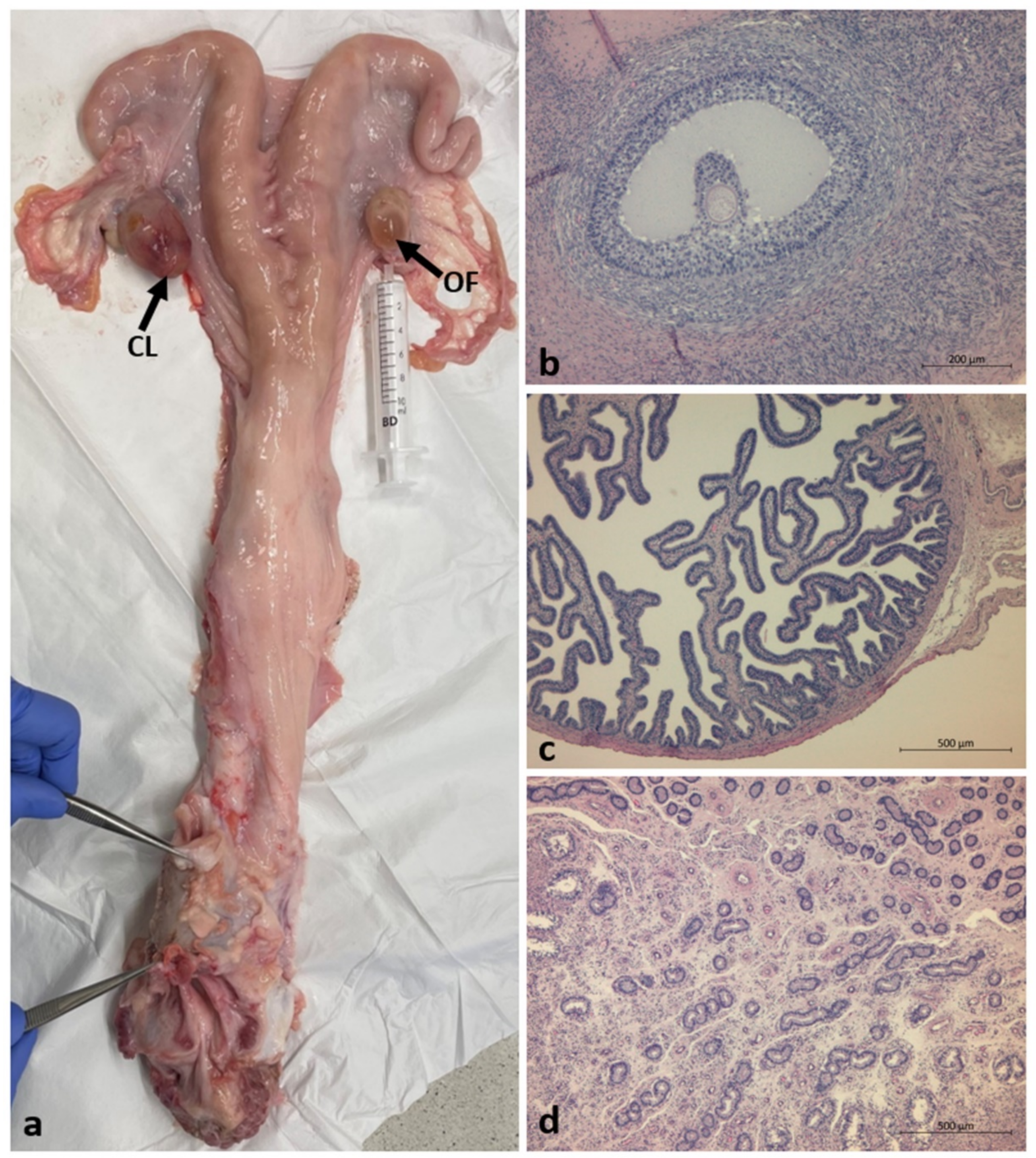 Animals 12 02932 g003 Animals 12 02932 g003