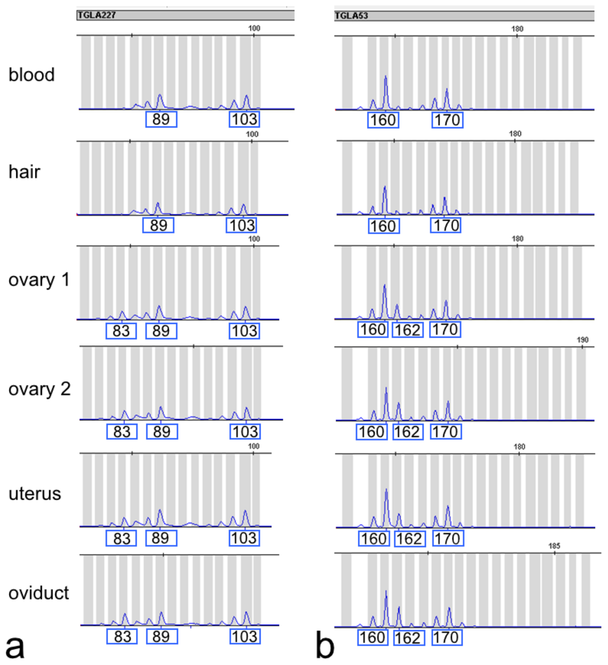 Animals 12 02932 g005 Animals 12 02932 g005