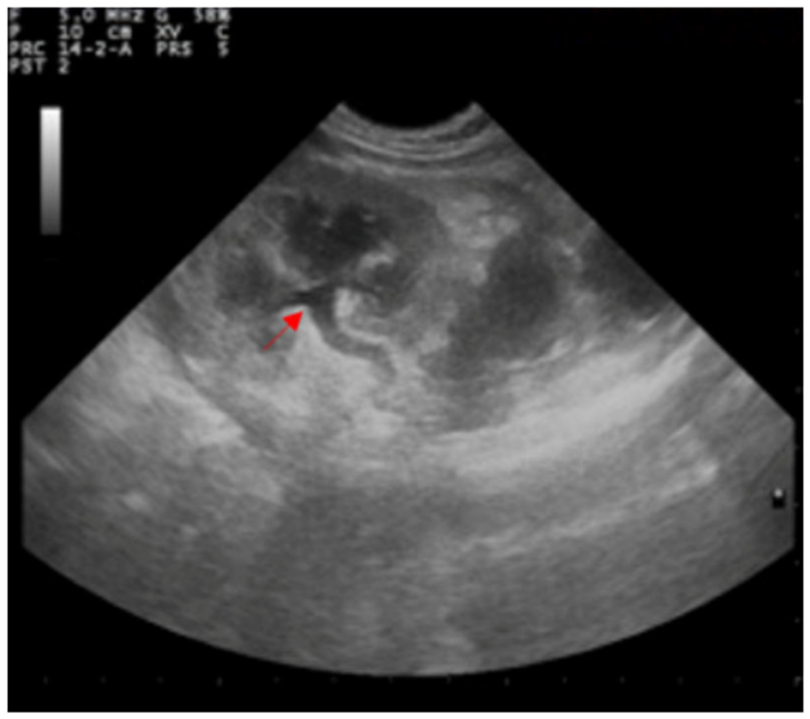 Animals 12 02934 g003