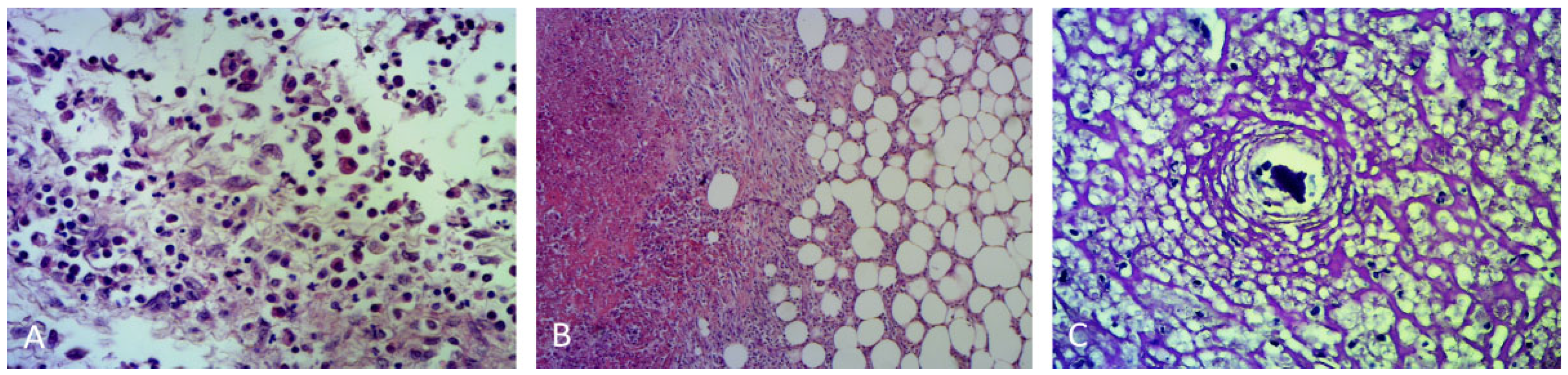 Animals 12 02934 g007