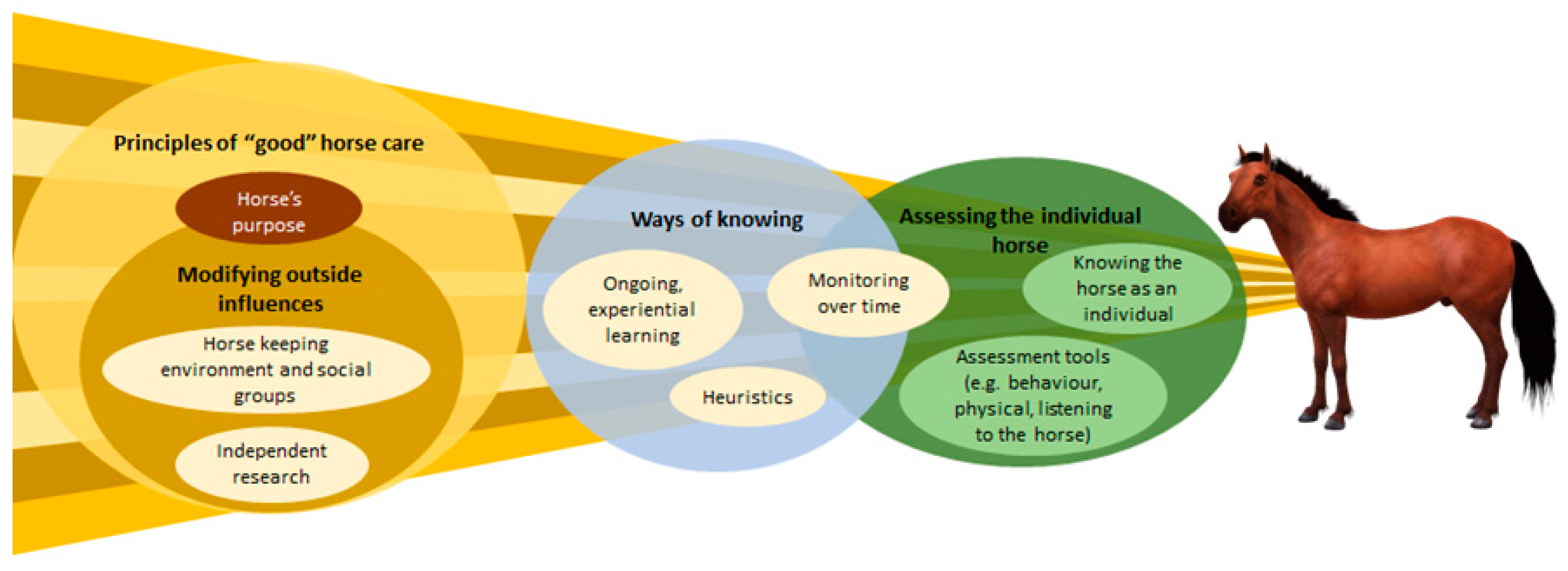 Animals 12 02937 g001