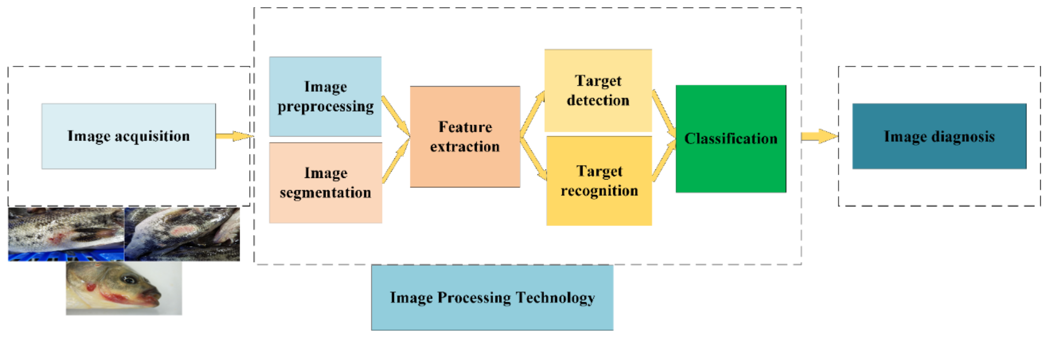 Animals 12 02938 g001