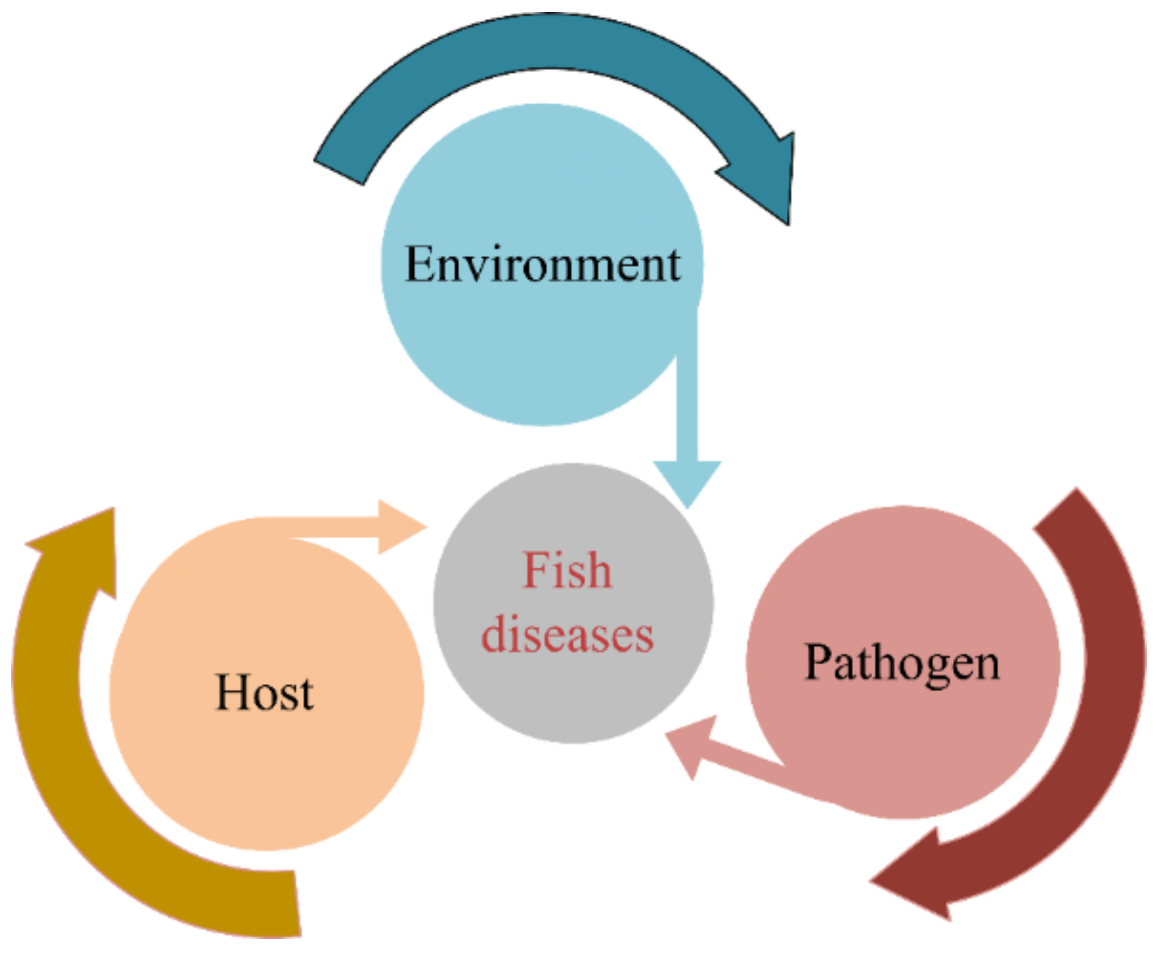 Animals 12 02938 g002