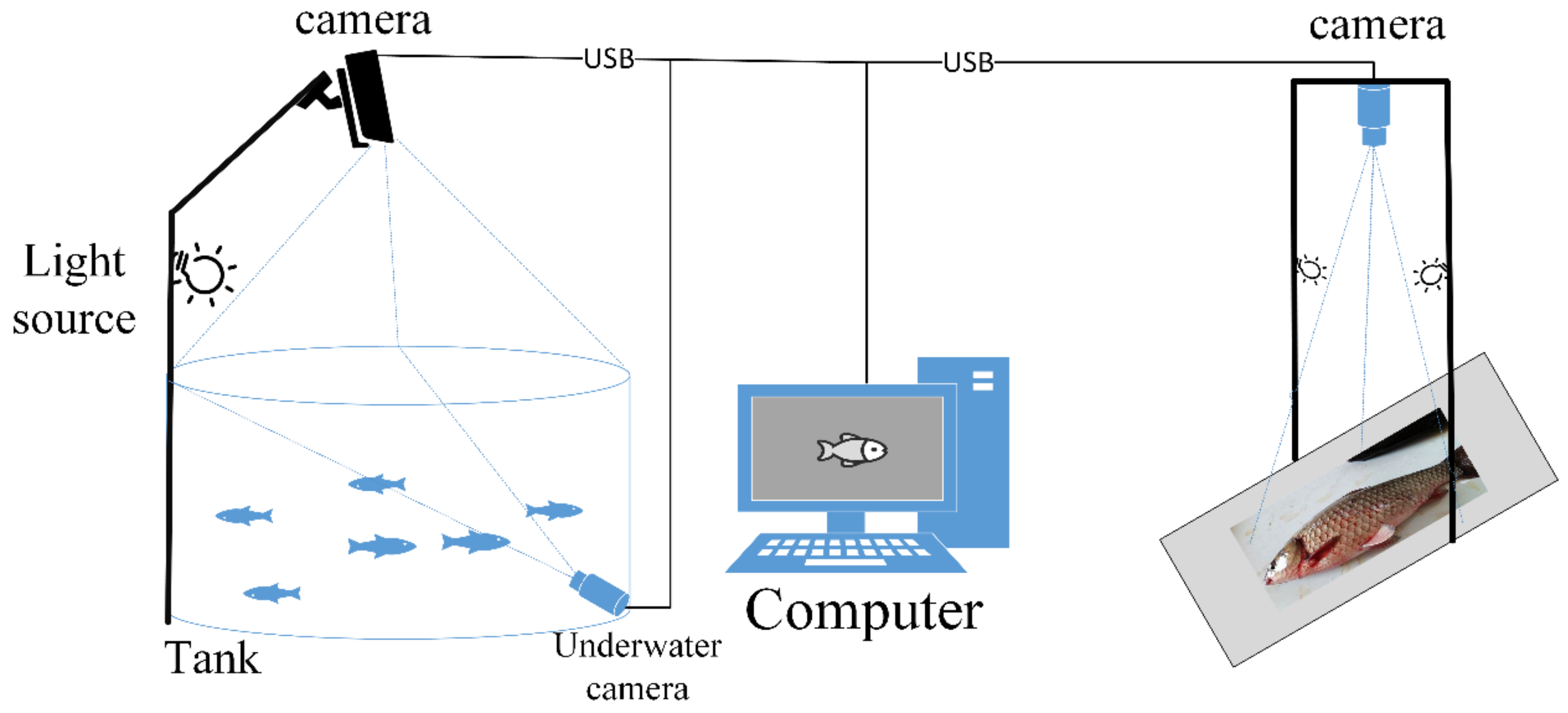 Animals 12 02938 g005