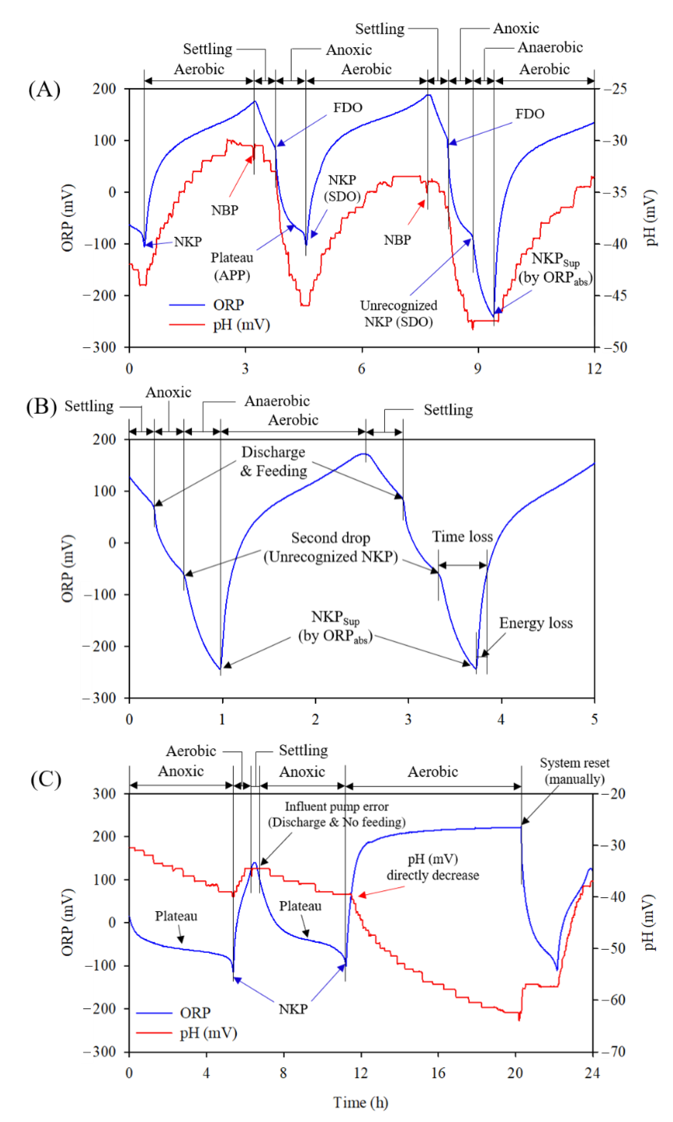 Animals 12 02941 g006 Animals 12 02941 g006