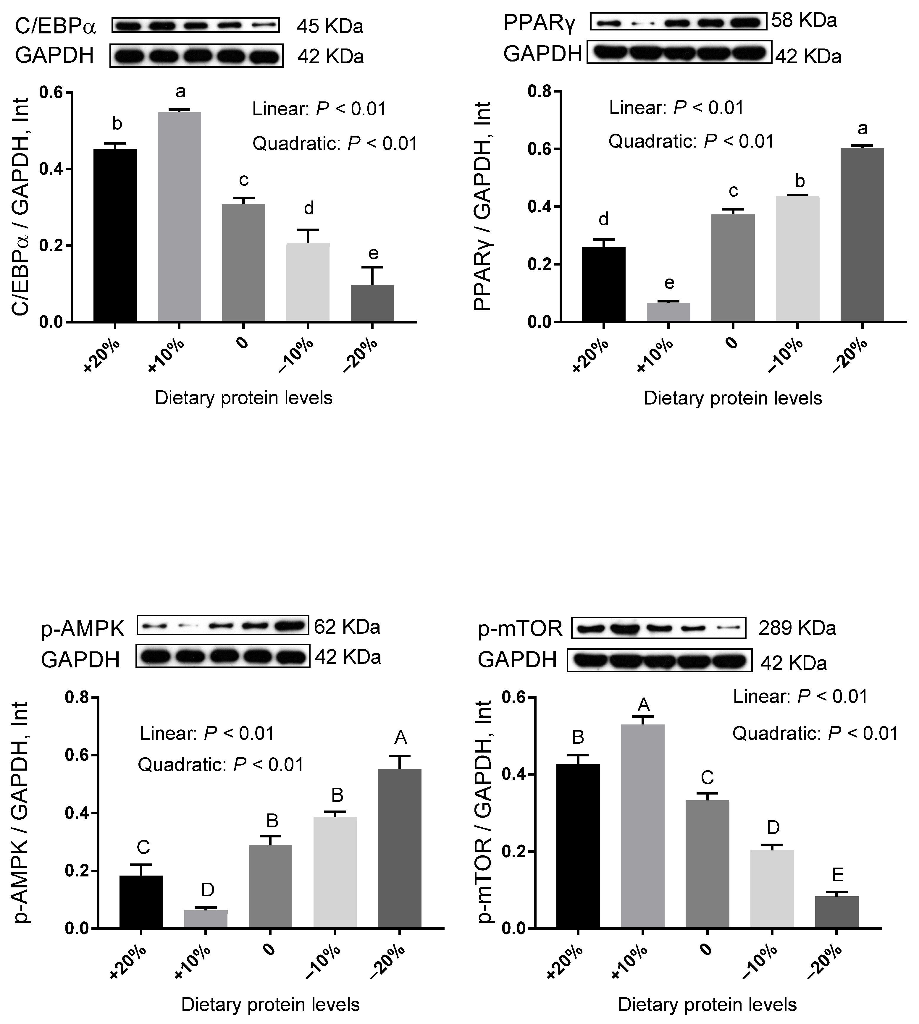 Animals 12 02944 g003