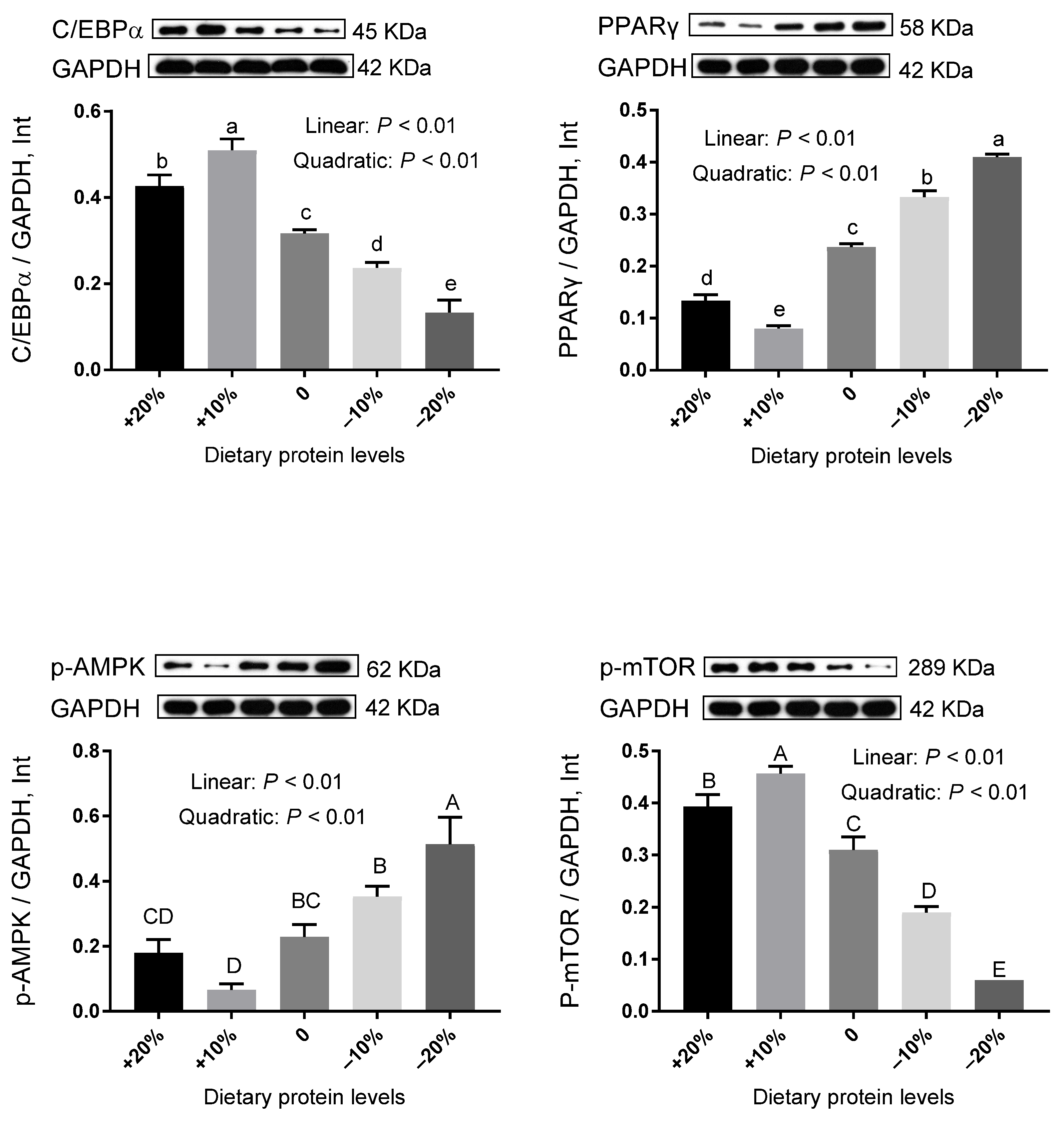 Animals 12 02944 g004