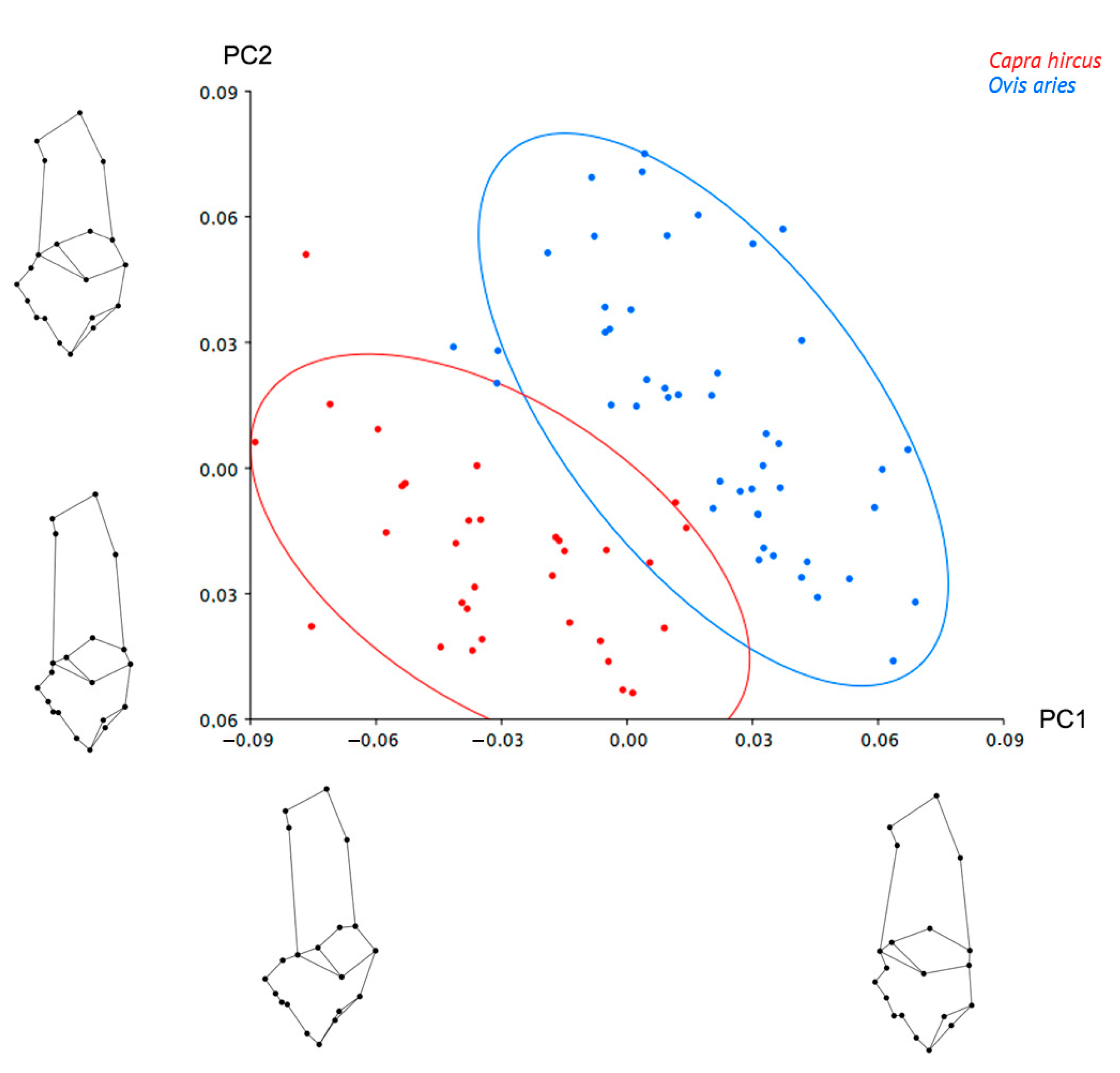 Animals 12 02945 g002