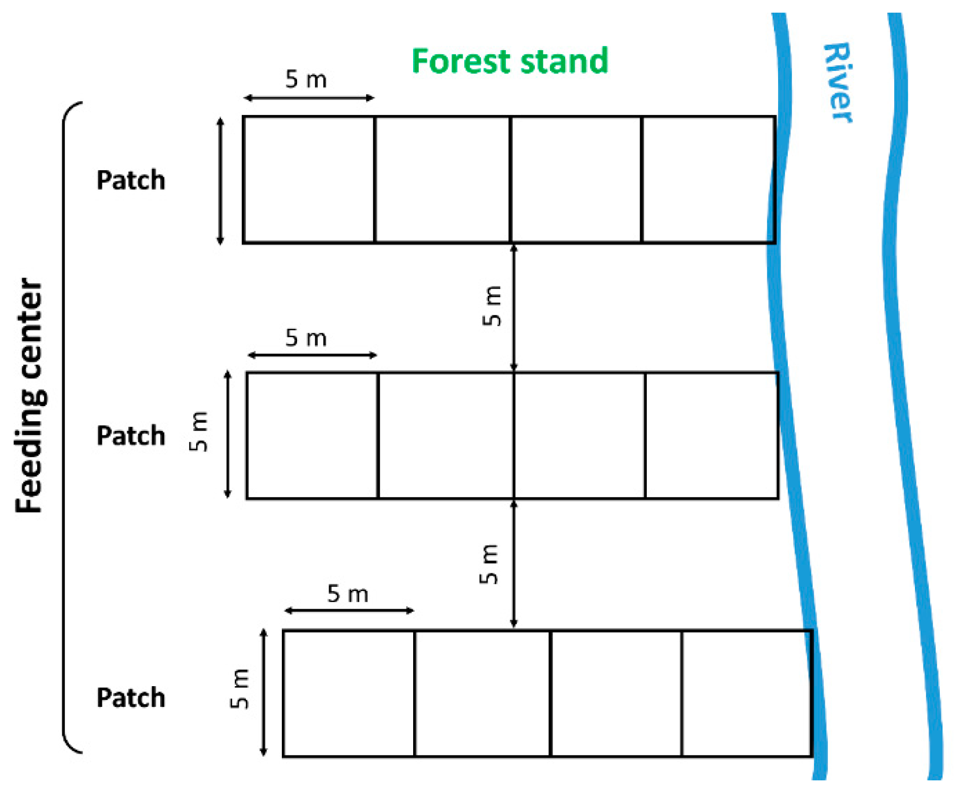 Animals 12 02949 g001