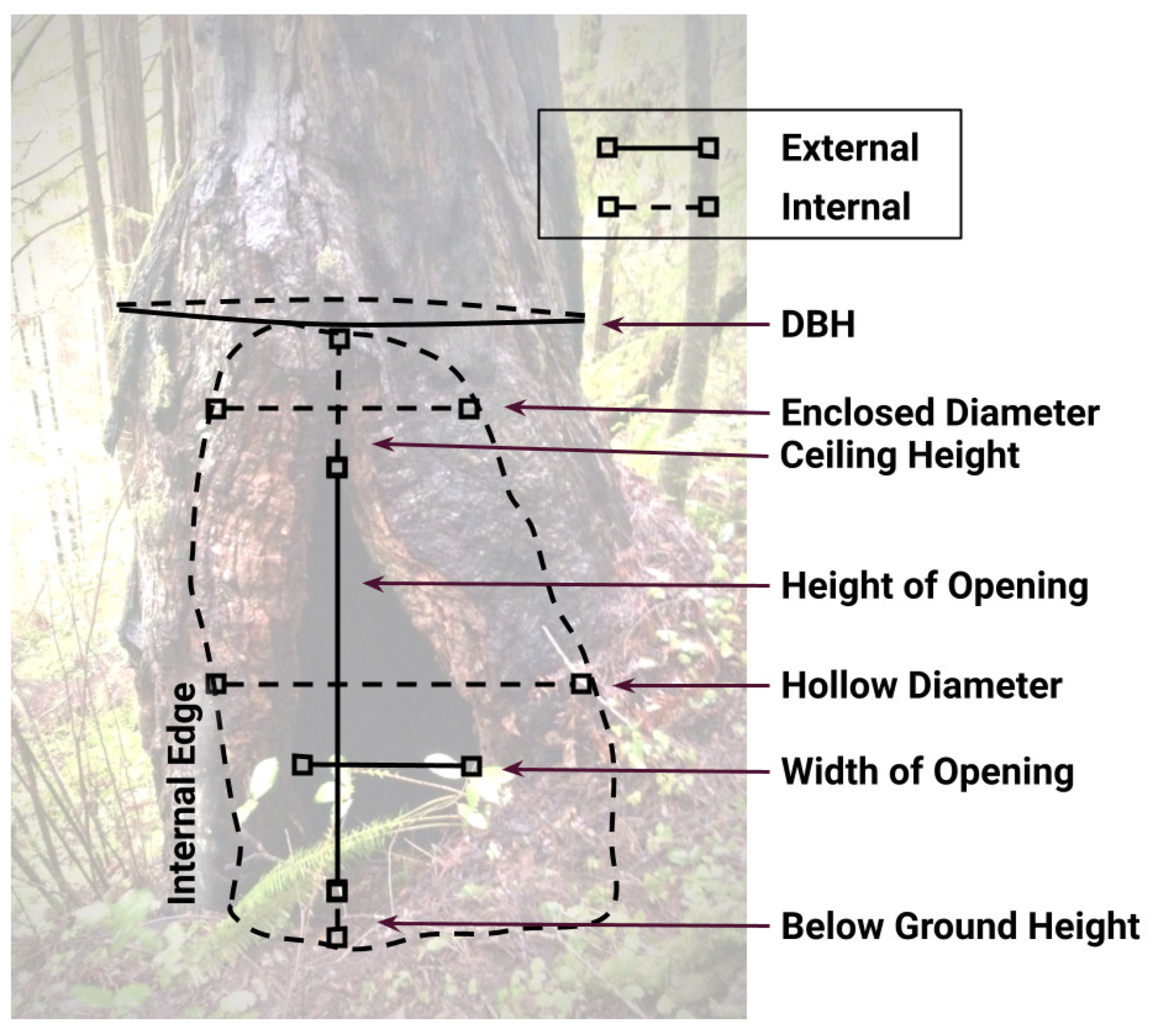 Animals 12 02950 g002