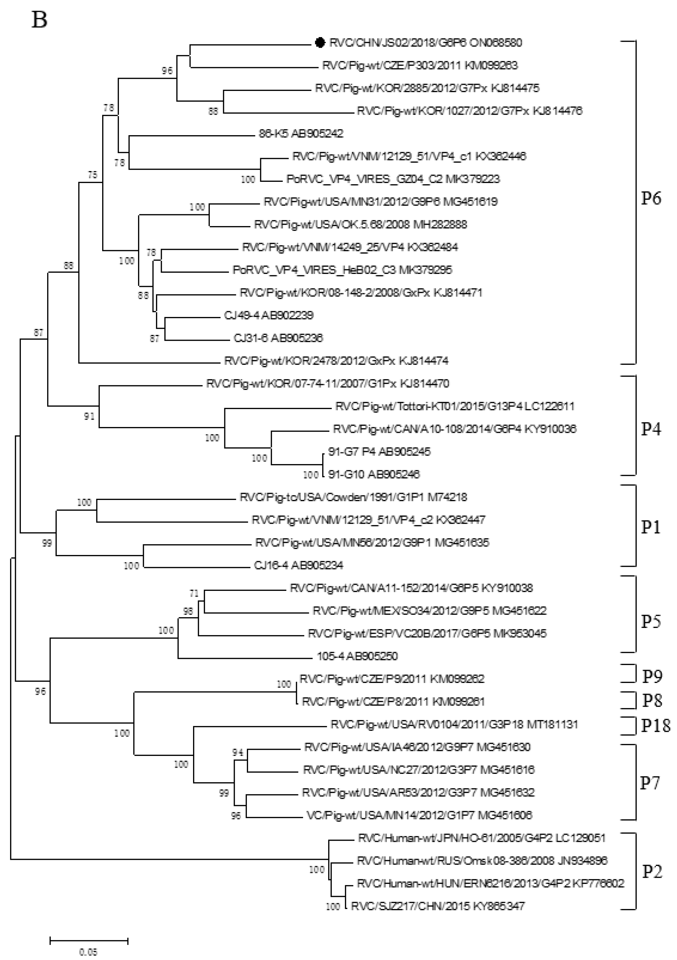 Animals 12 02951 g002b Animals 12 02951 g002b