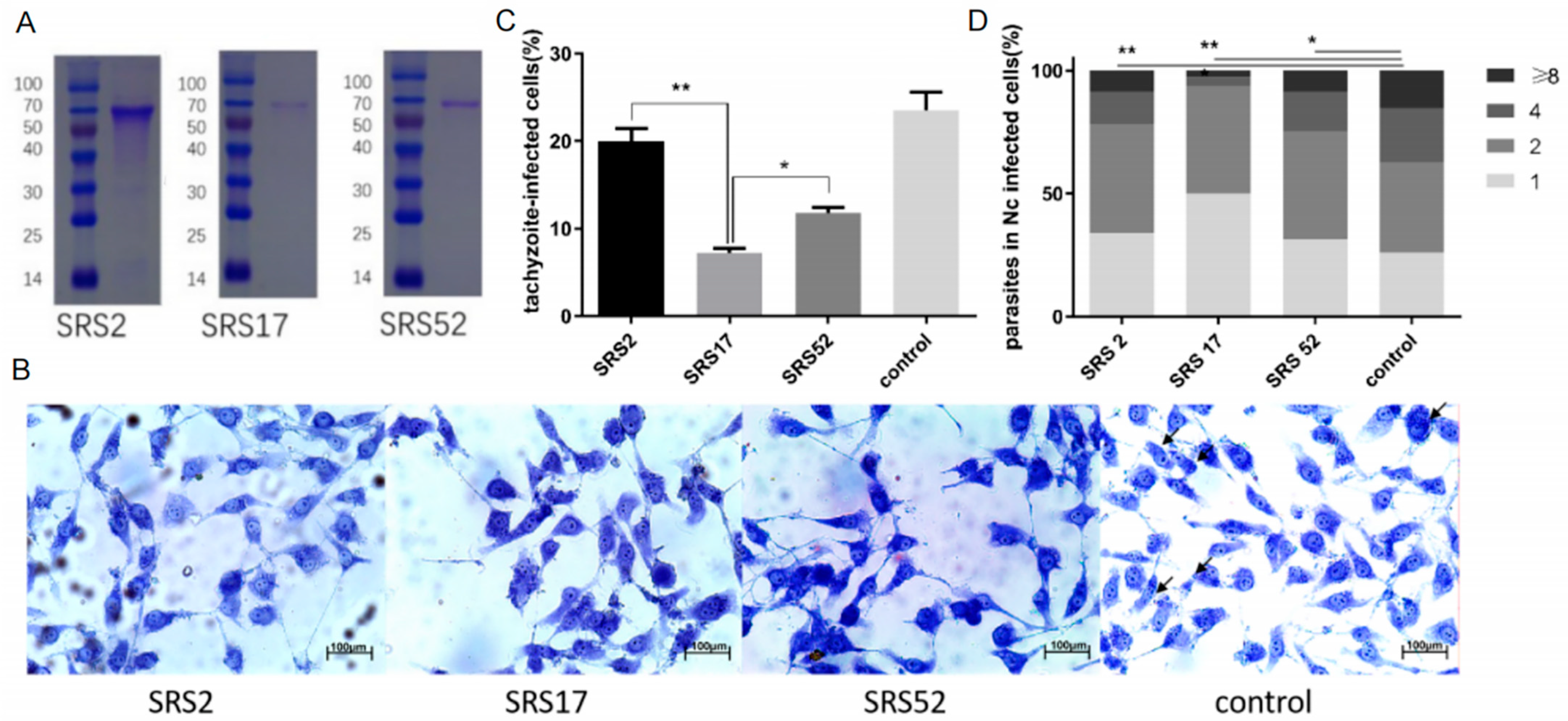 Animals 12 02952 g001