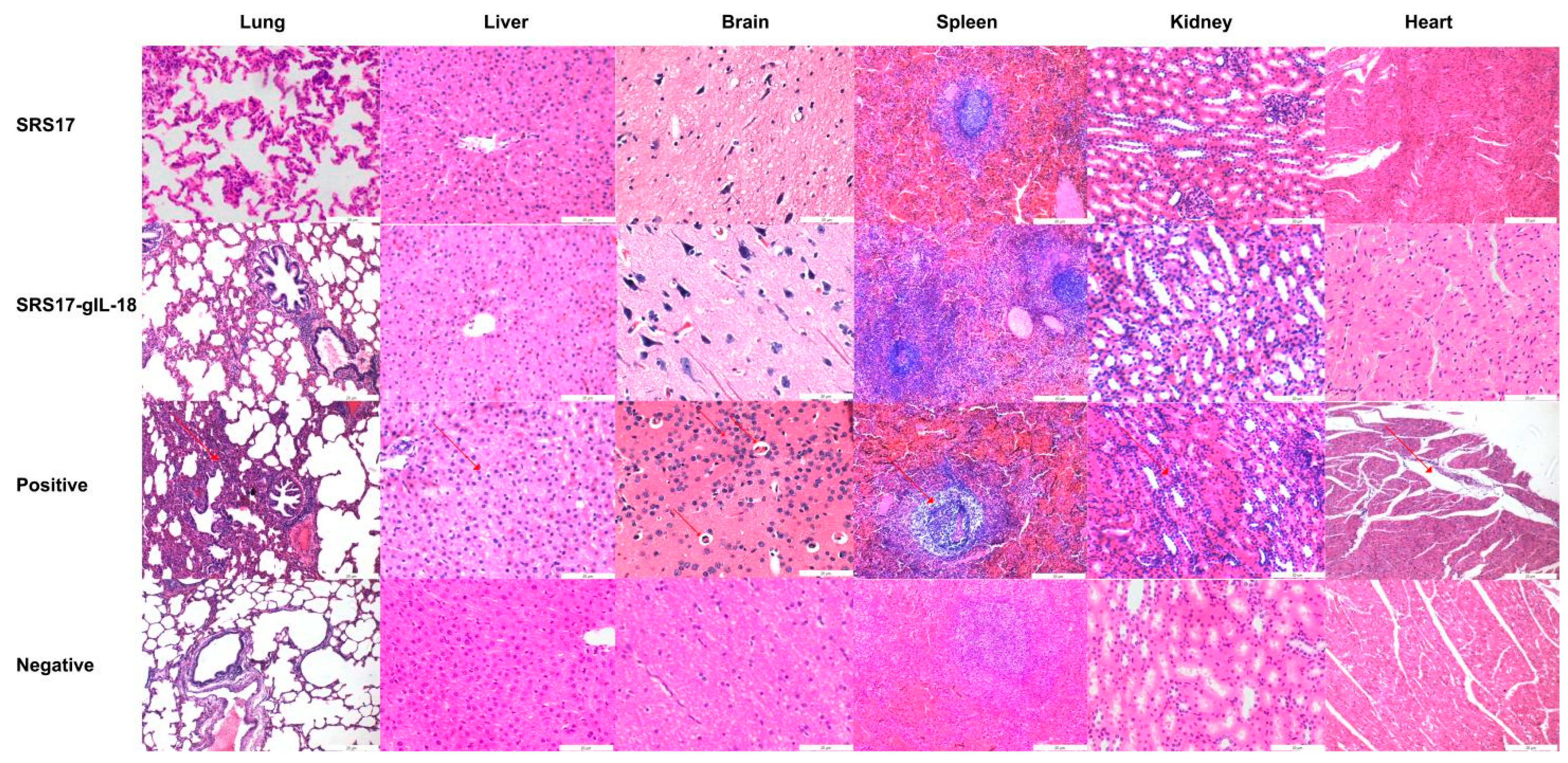 Animals 12 02952 g006