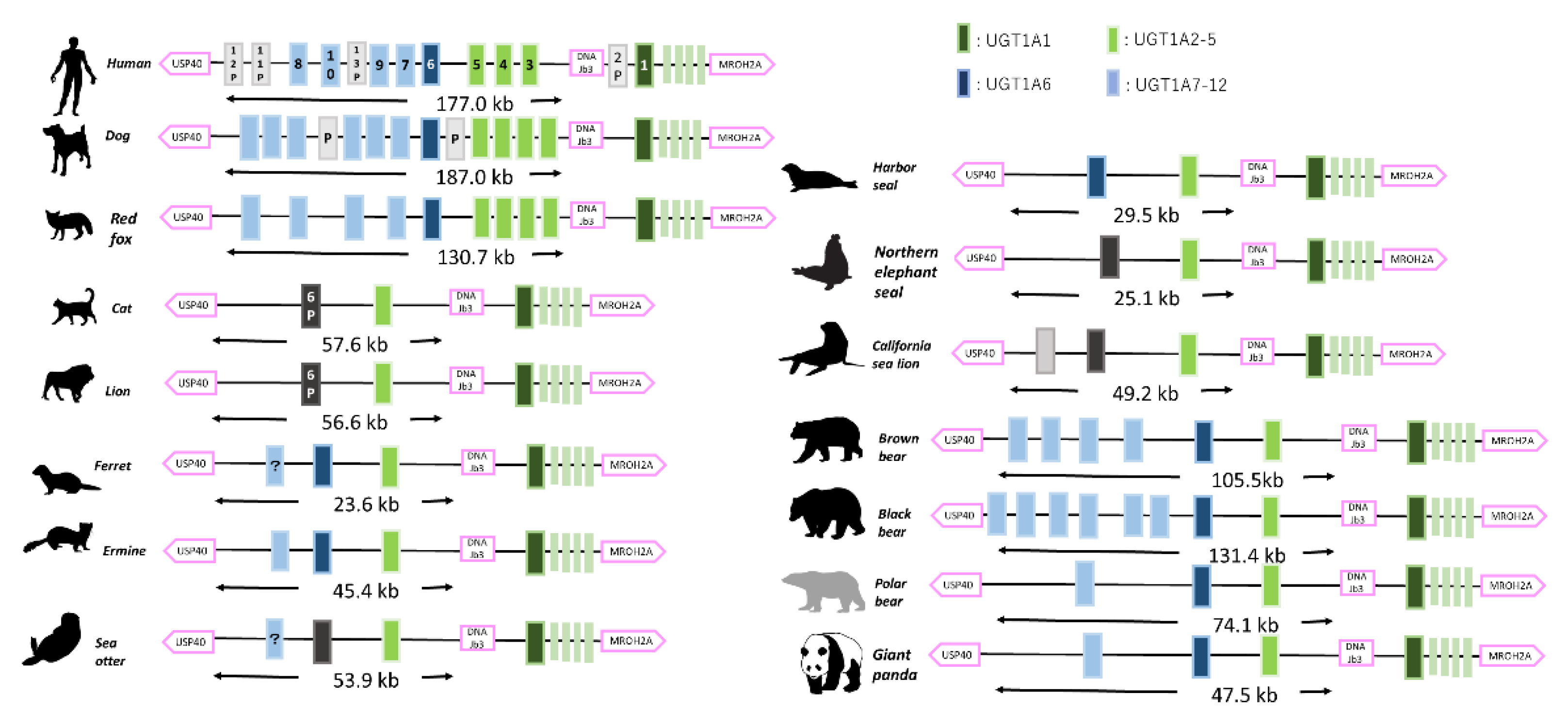 Animals 12 02954 g002