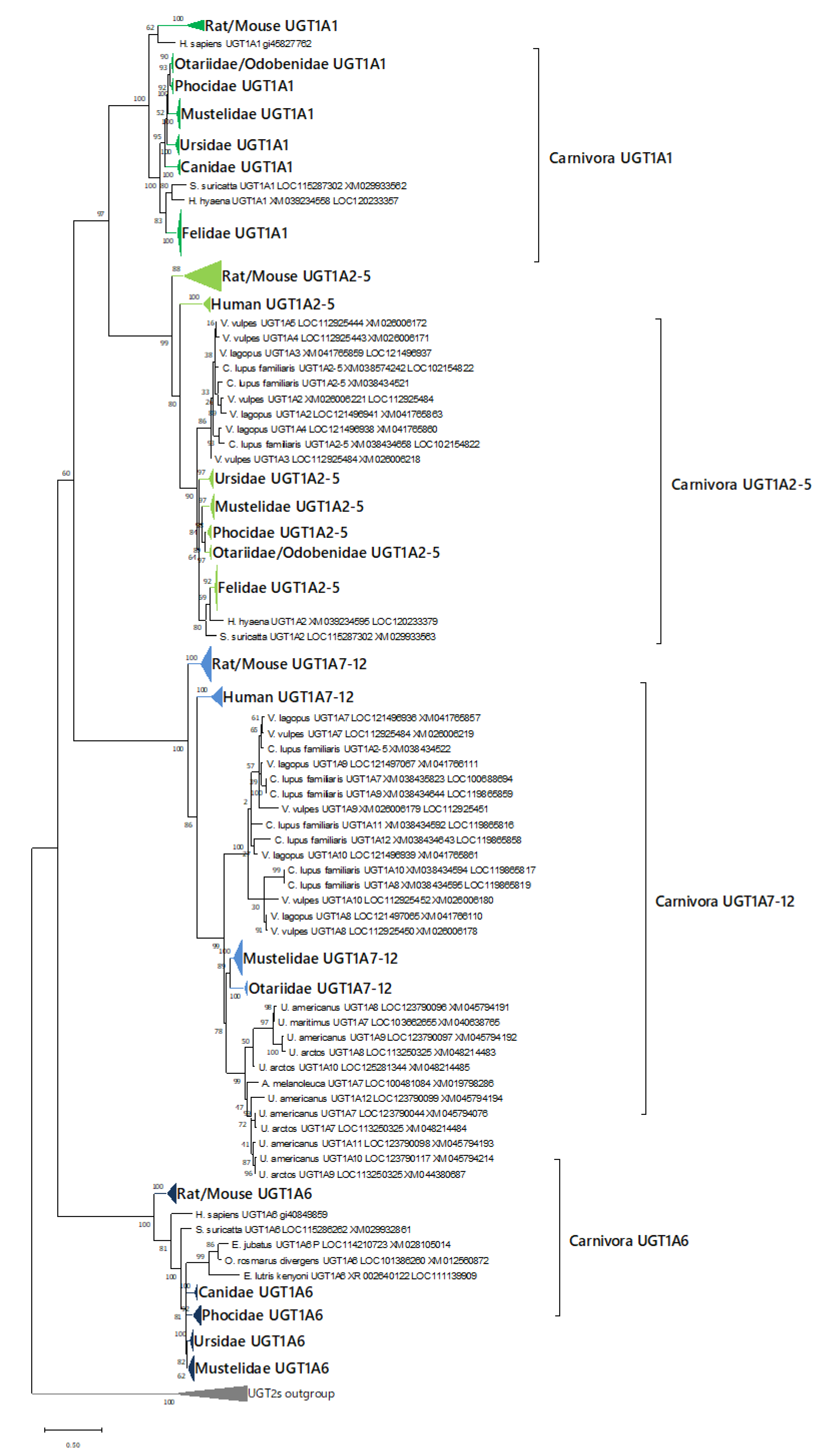 Animals 12 02954 g004