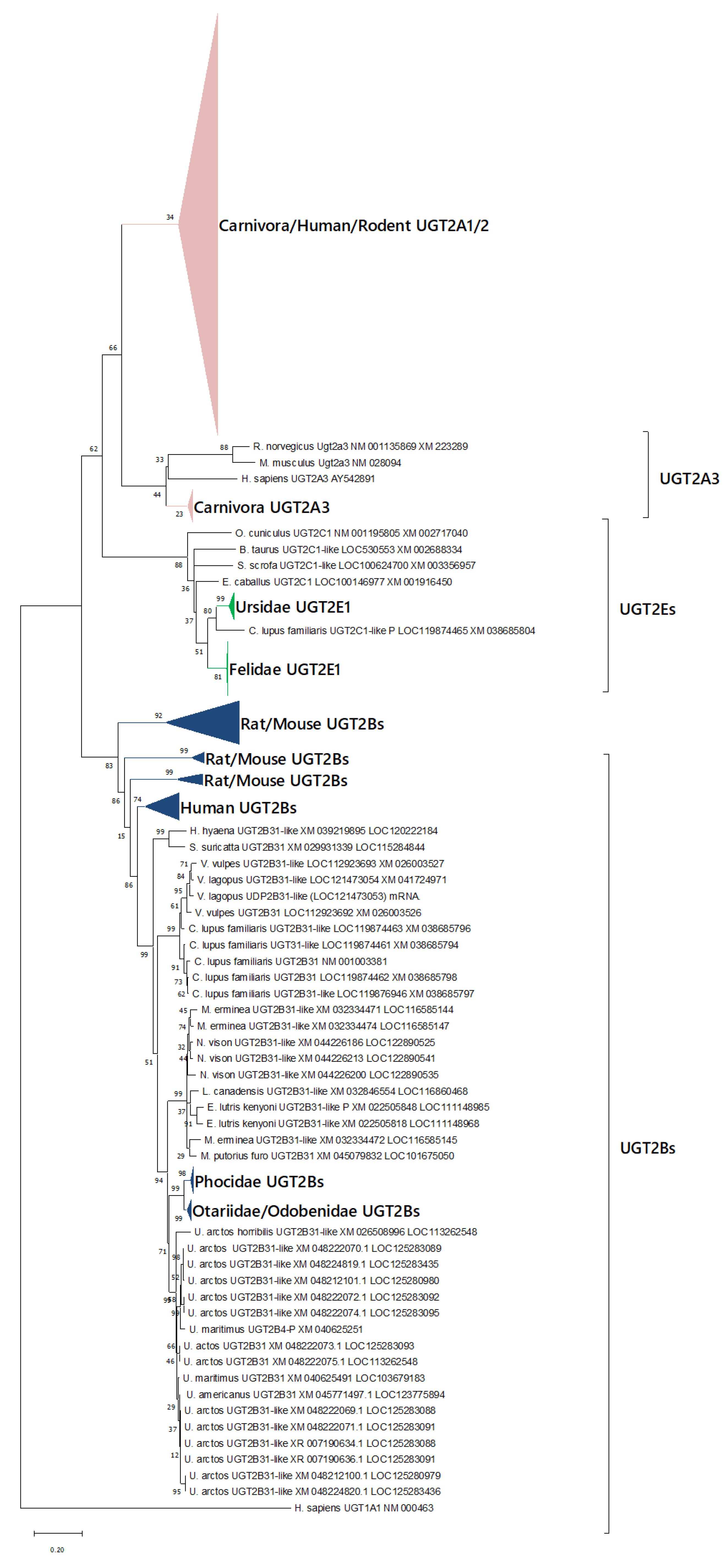 Animals 12 02954 g005