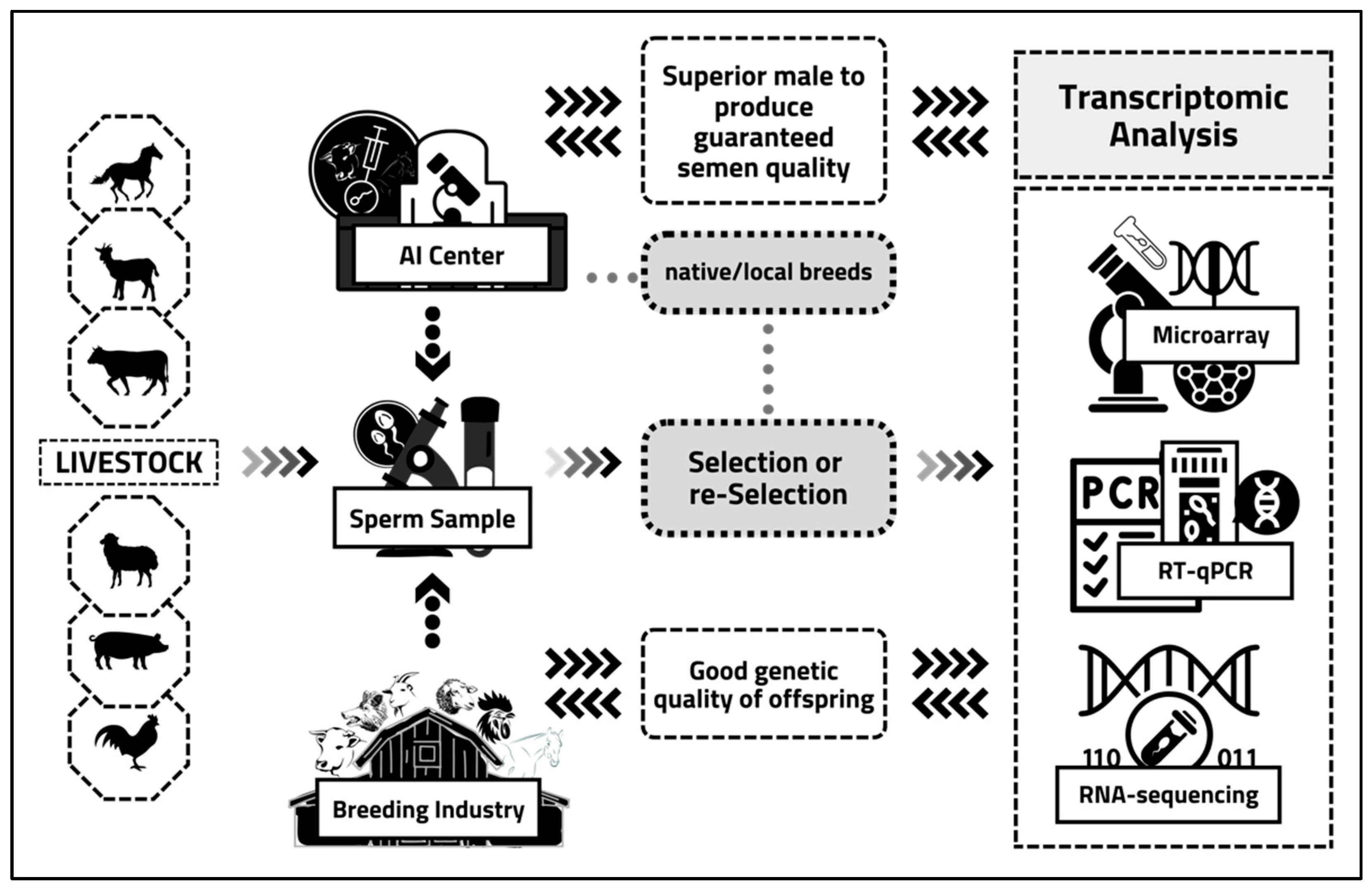 Animals 12 02955 g001 Animals 12 02955 g001