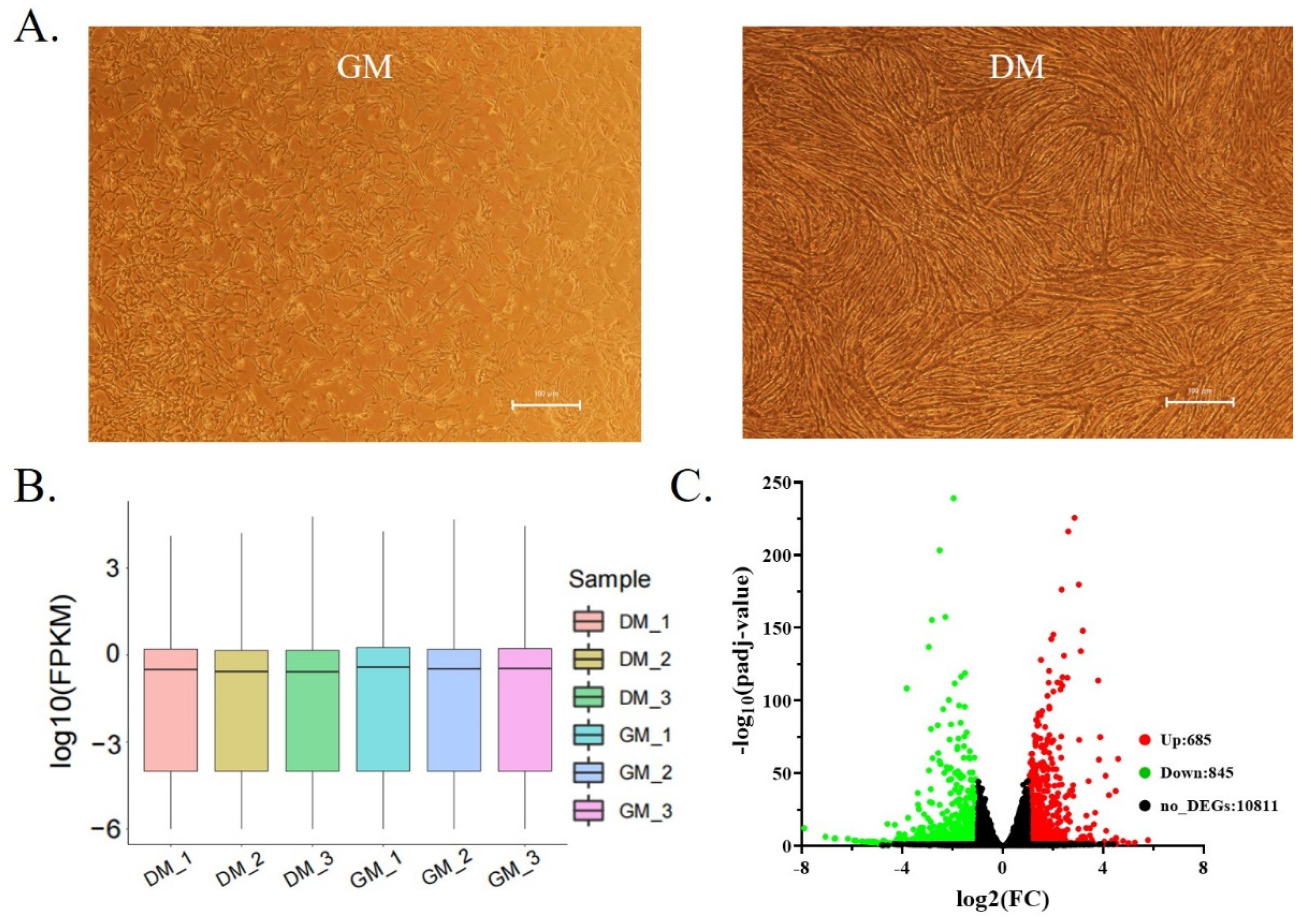 Animals 12 02956 g001