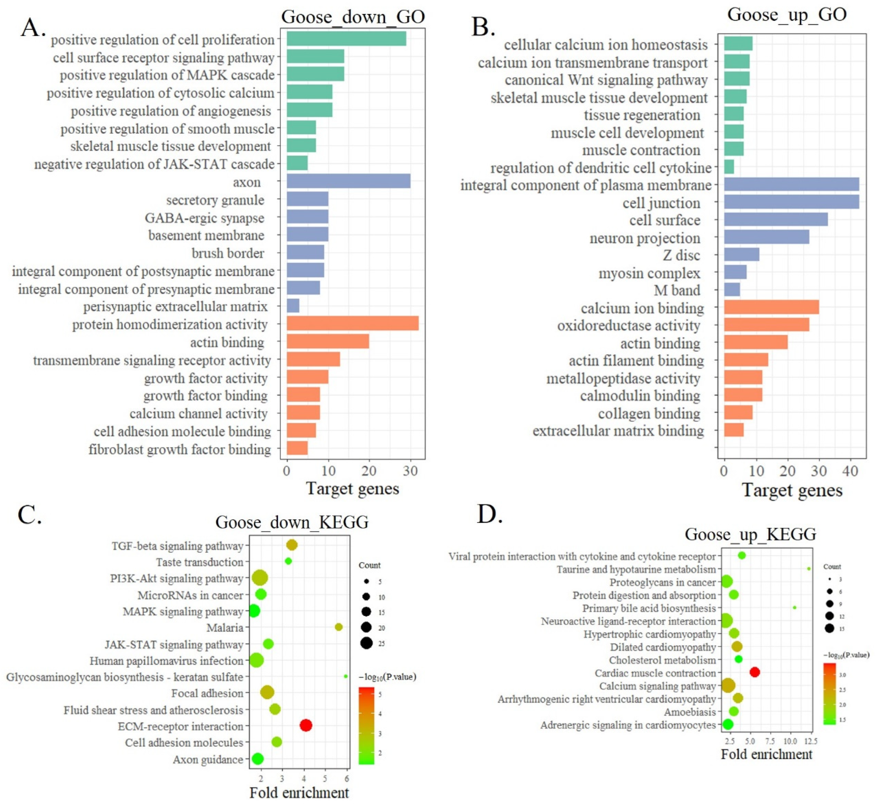 Animals 12 02956 g002
