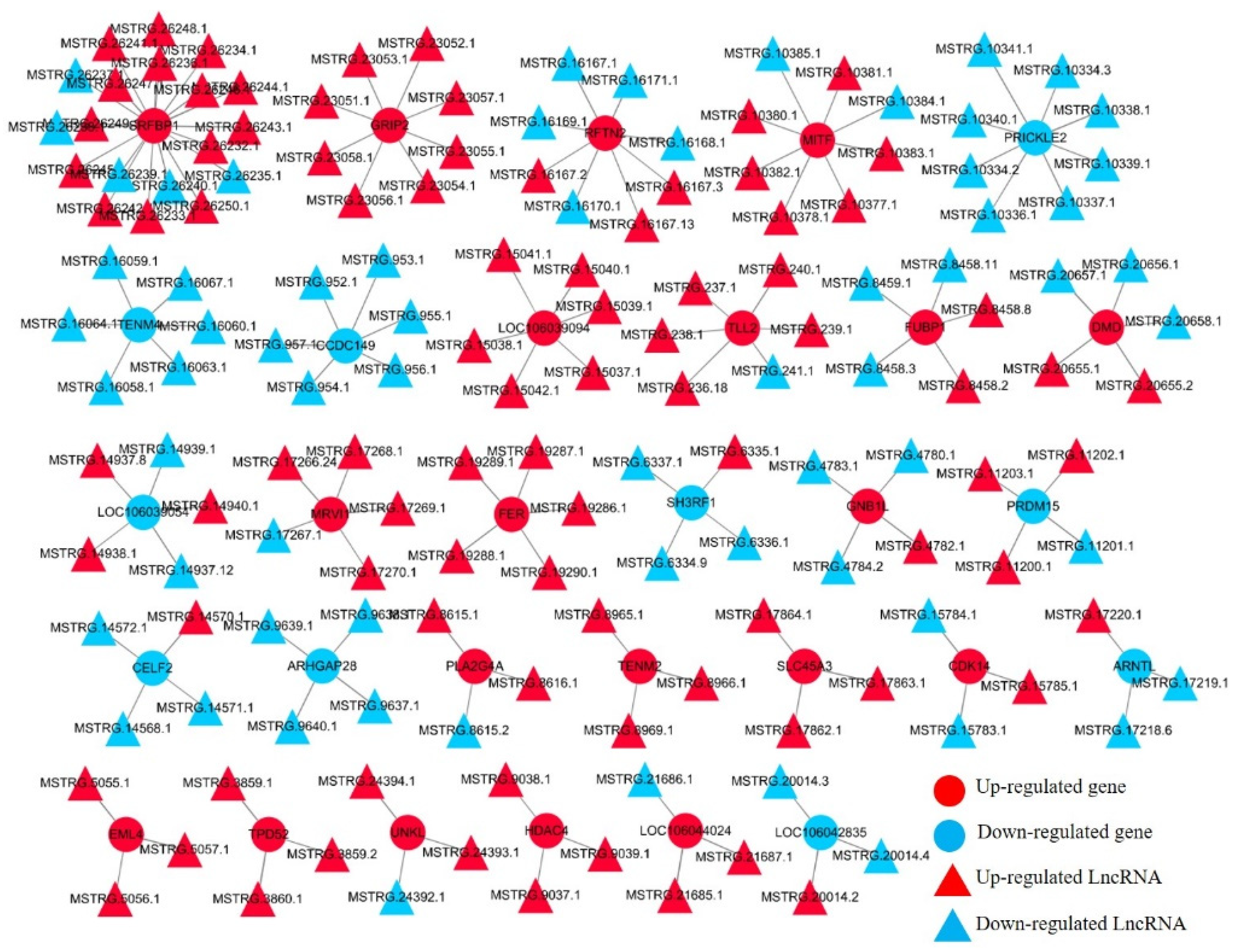 Animals 12 02956 g006