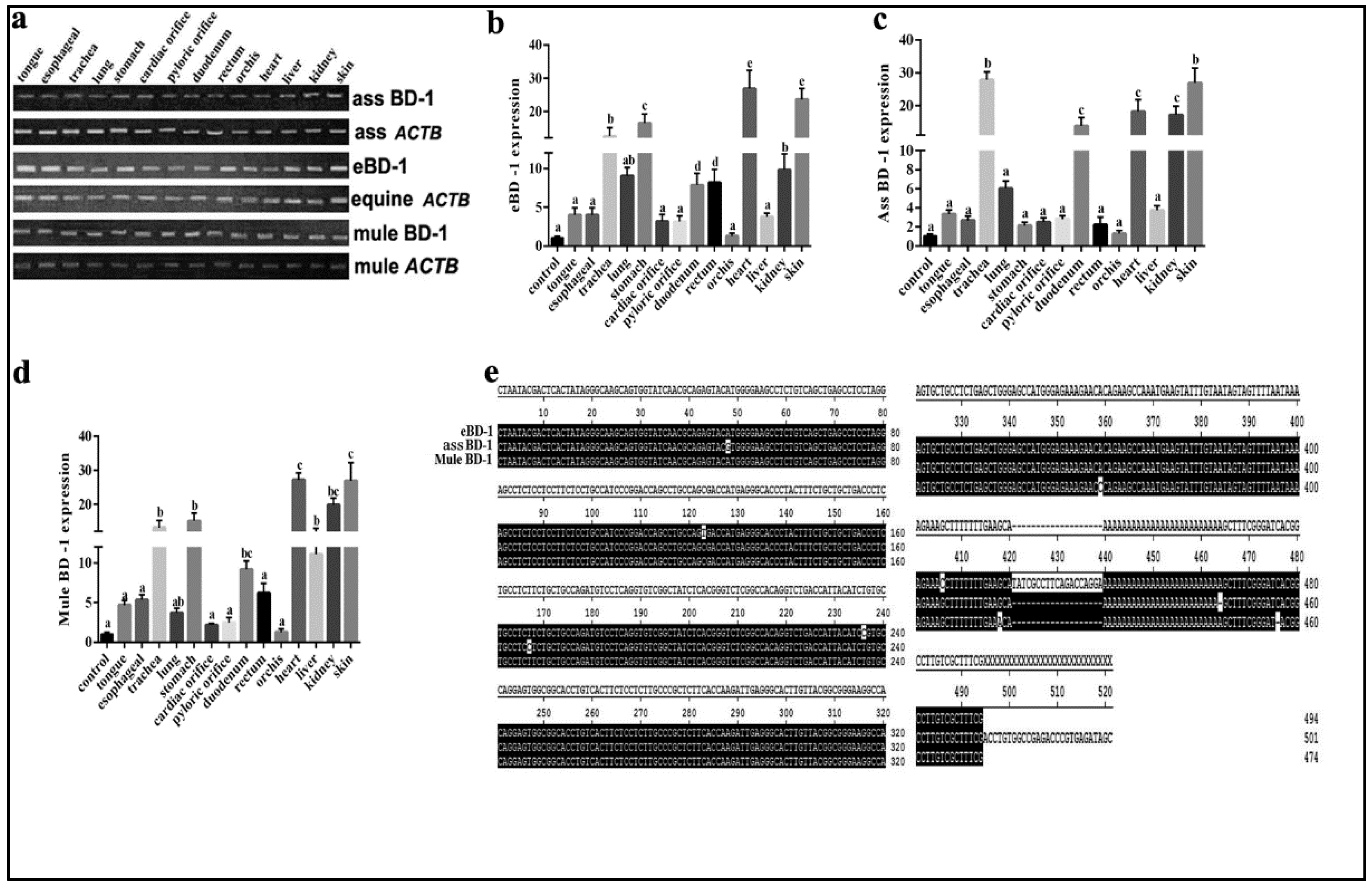 Animals 12 02958 g001