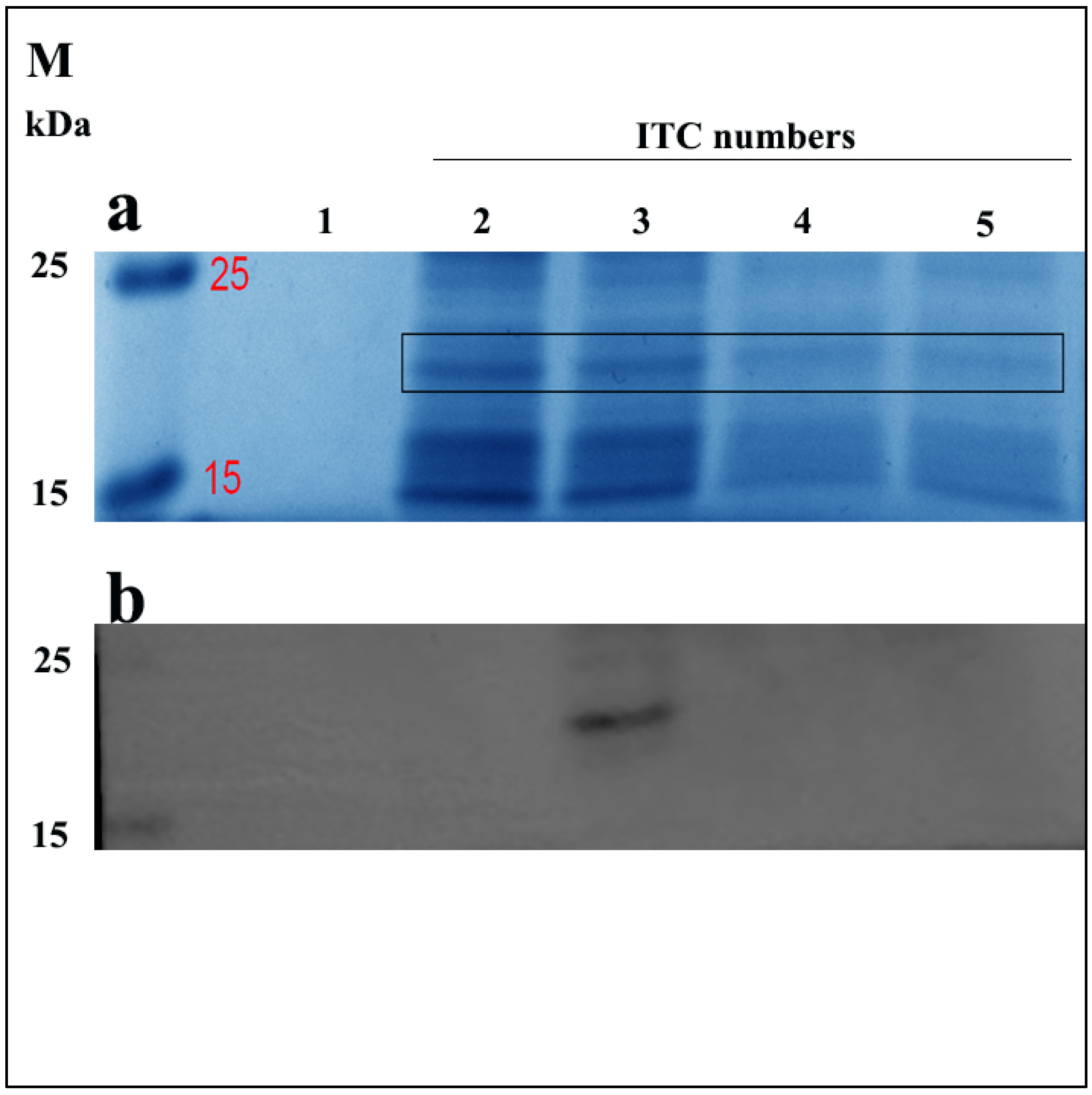 Animals 12 02958 g002