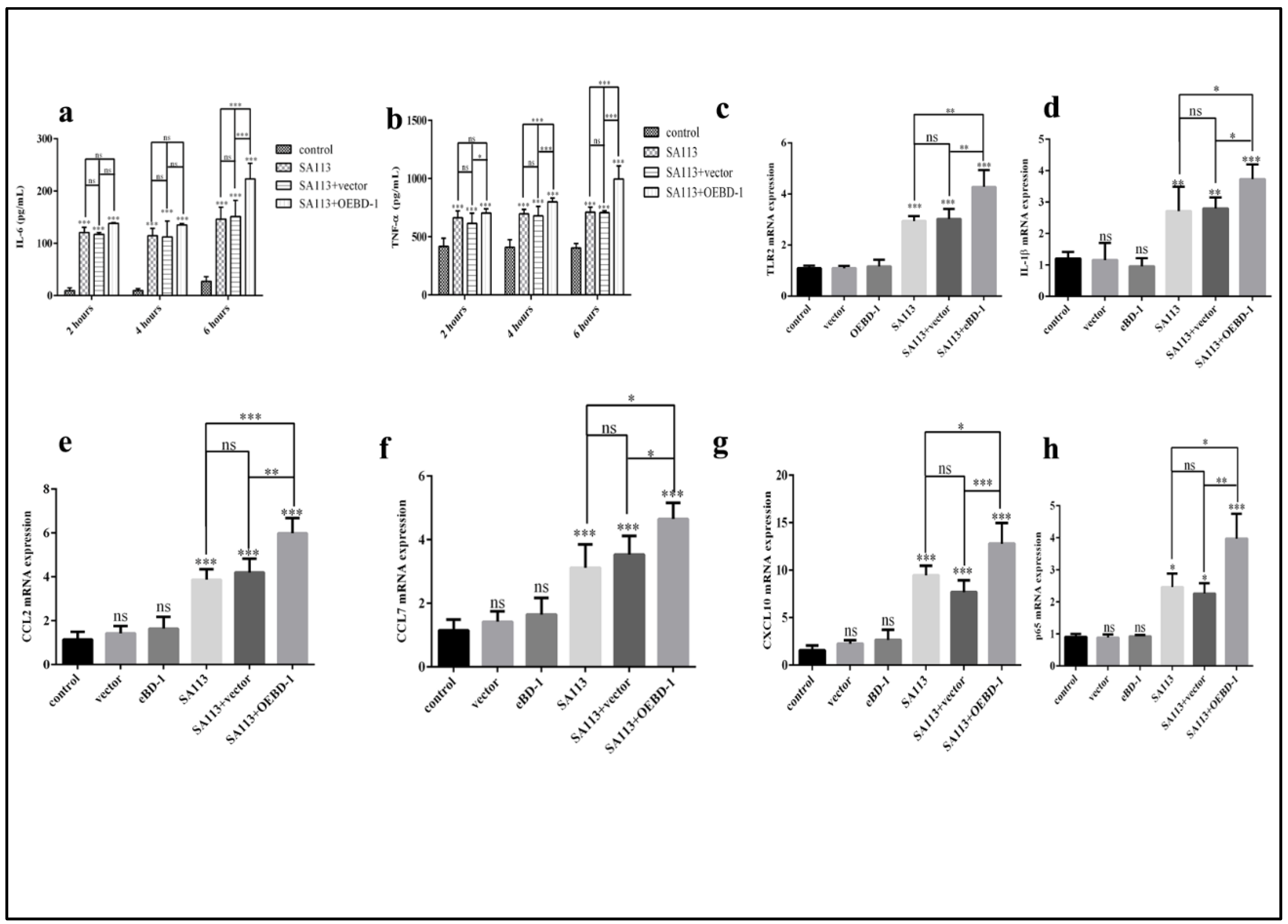 Animals 12 02958 g003