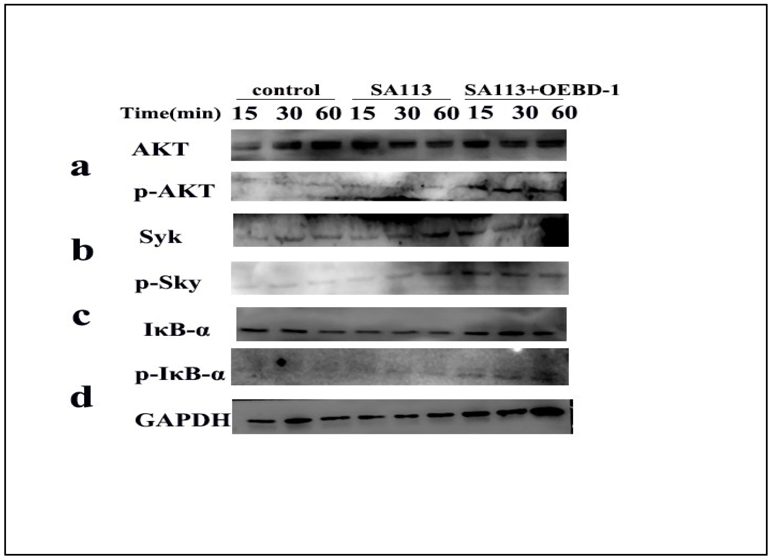 Animals 12 02958 g005