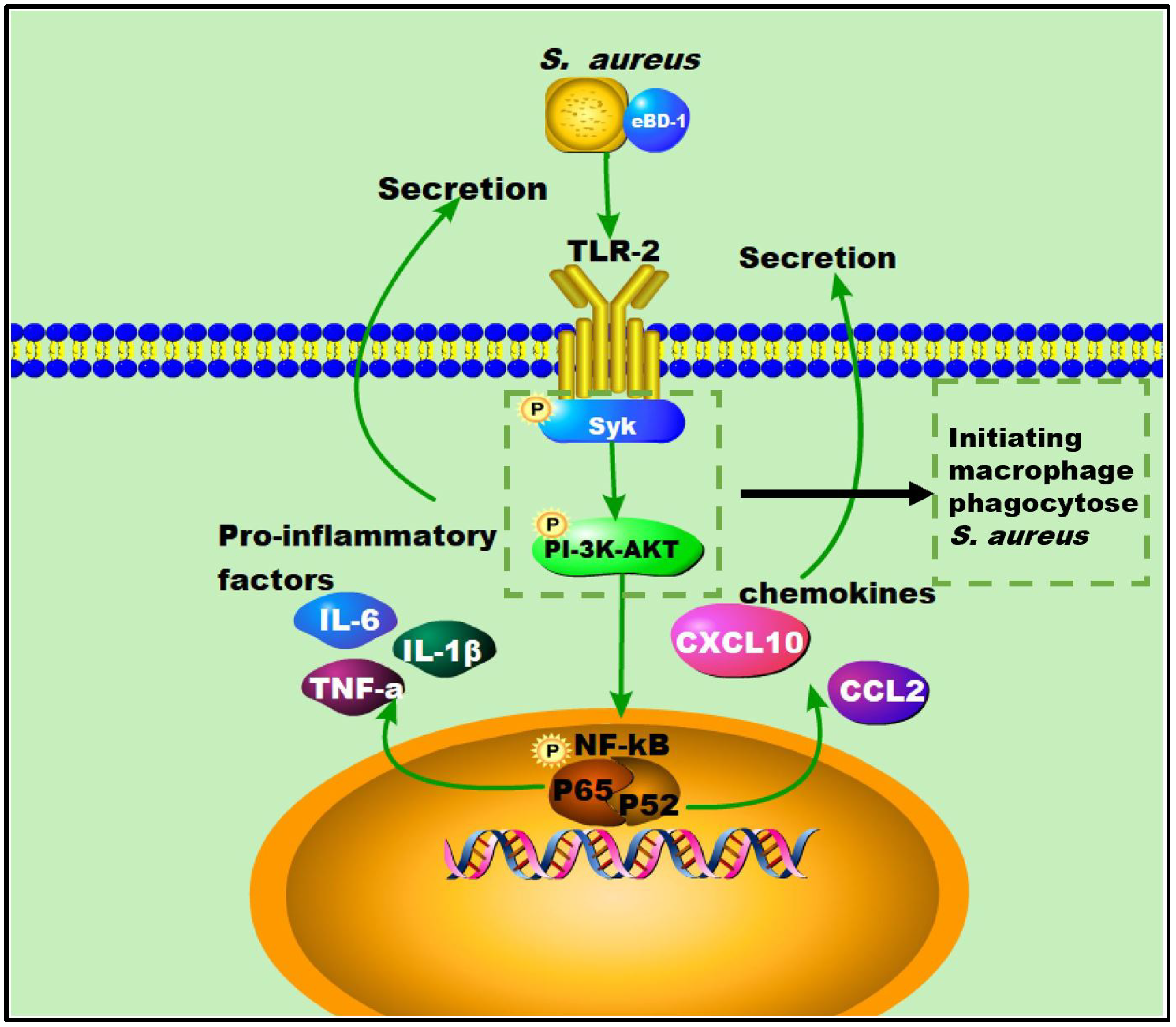 Animals 12 02958 g006
