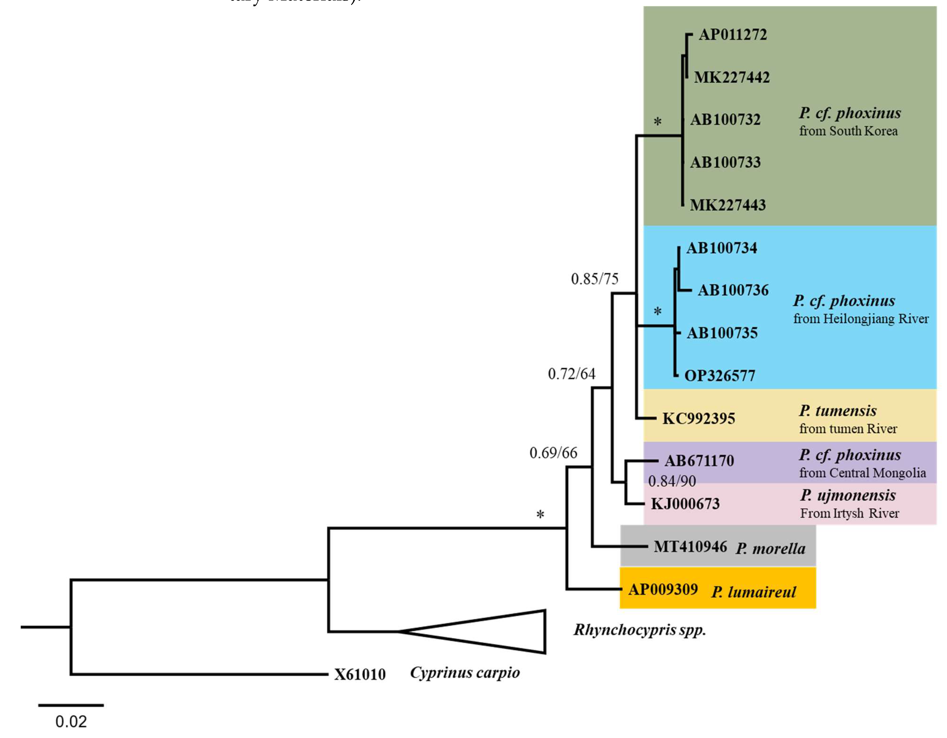 Animals 12 02960 g005 Animals 12 02960 g005