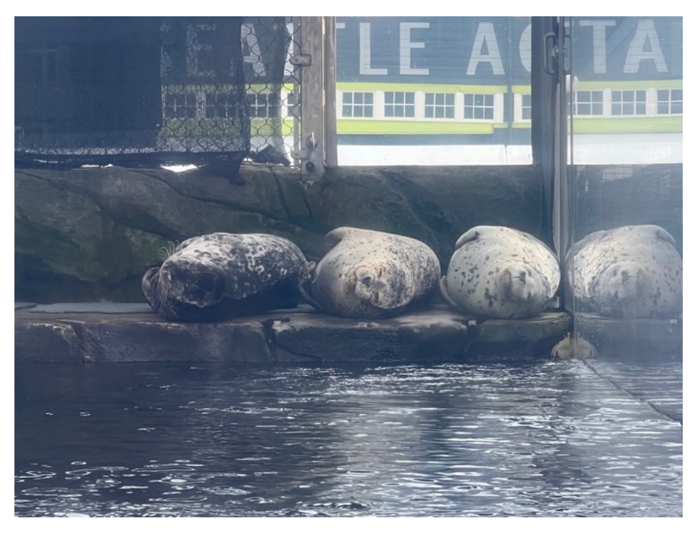 Animals 12 02962 g002