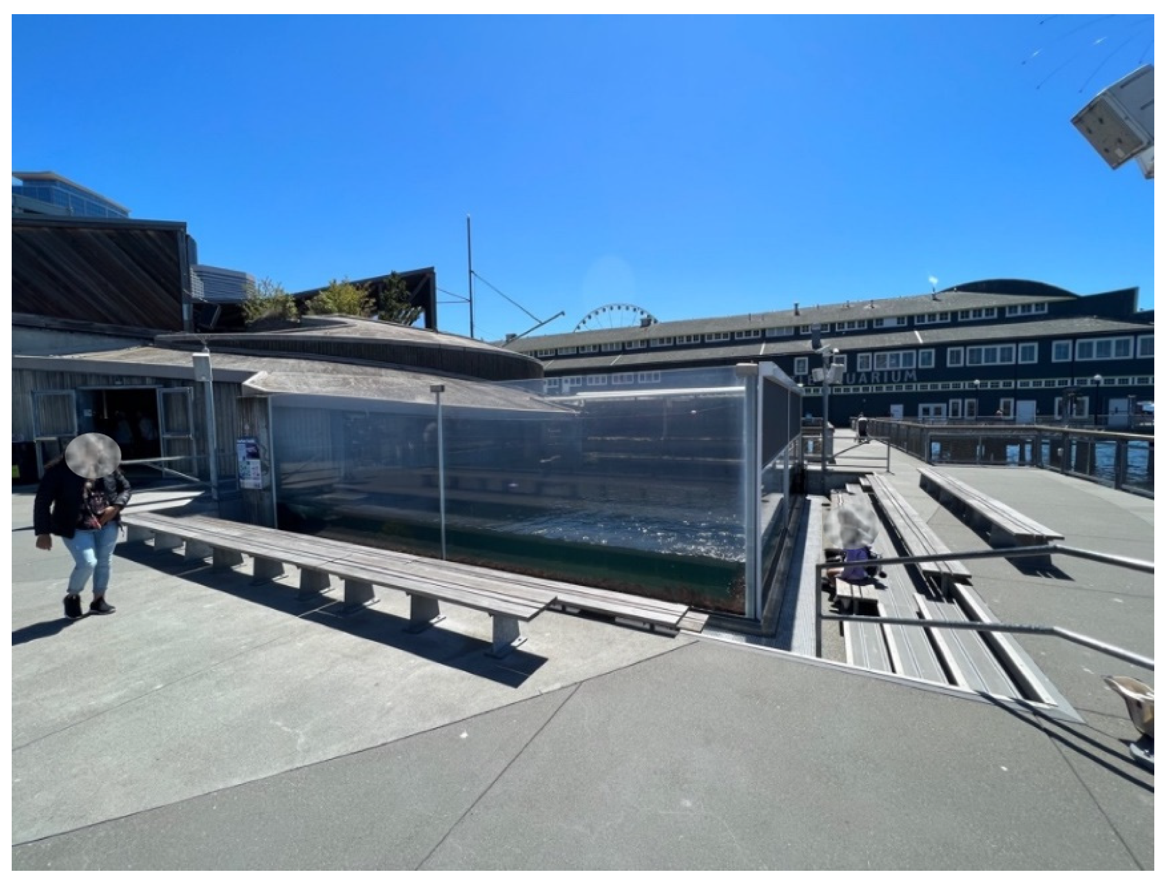 Animals 12 02962 g003