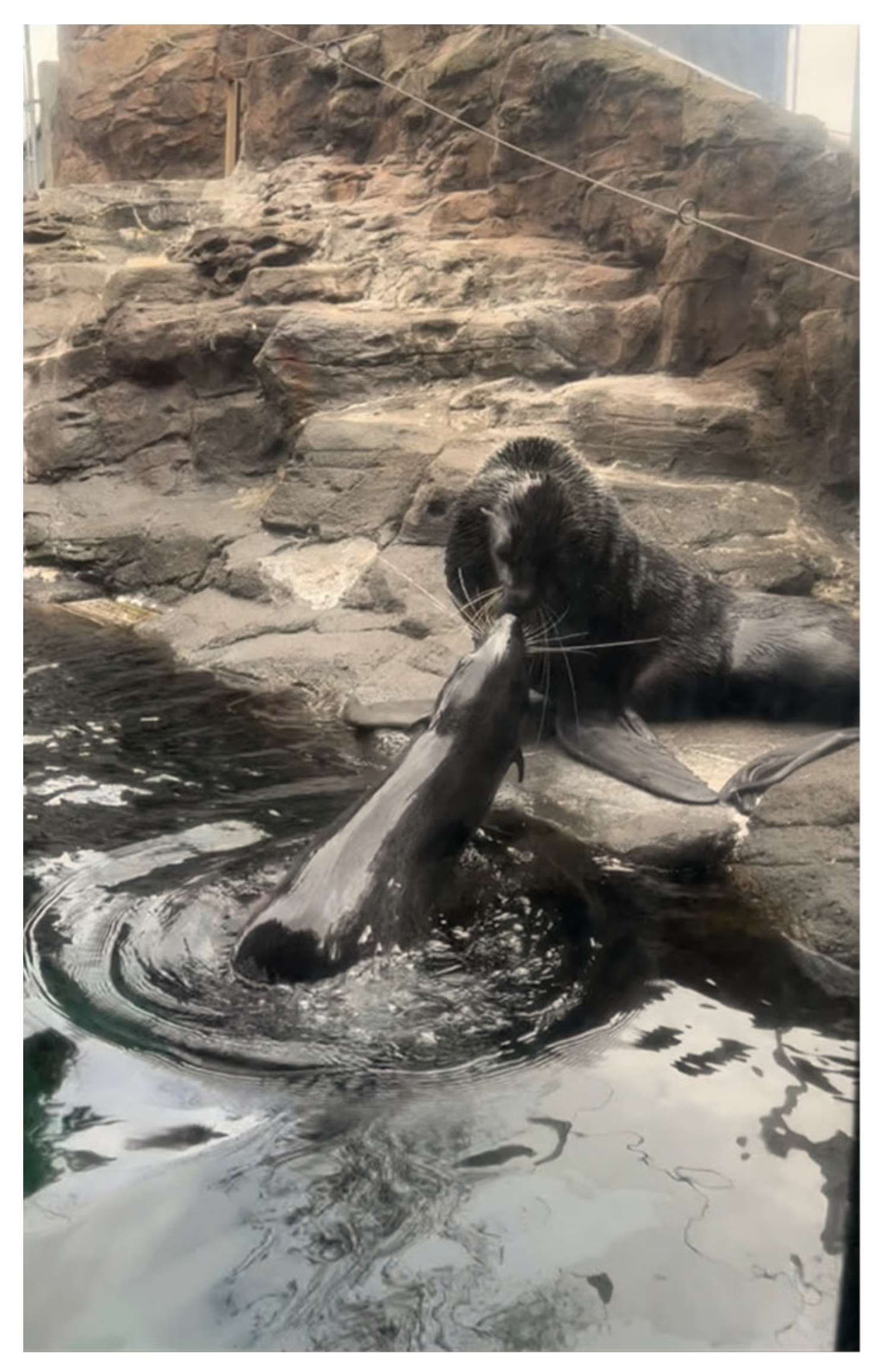 Animals 12 02962 g008