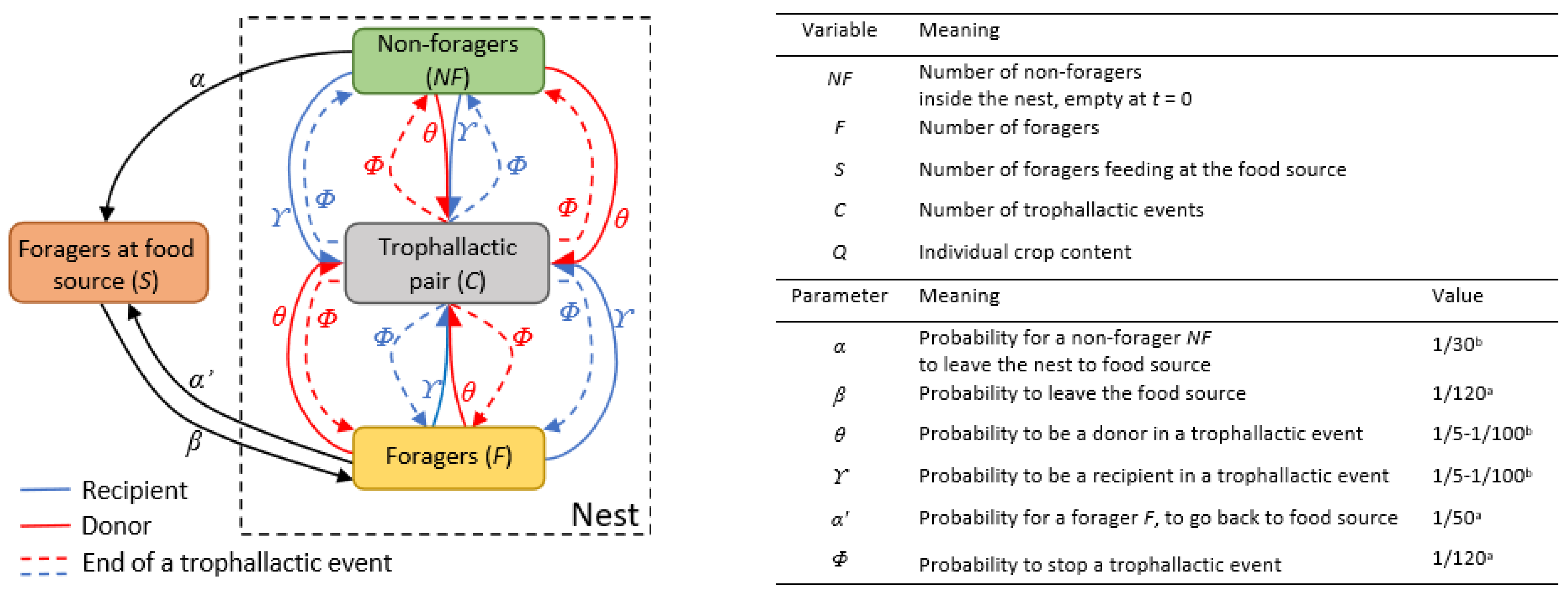 Animals 12 02963 g001