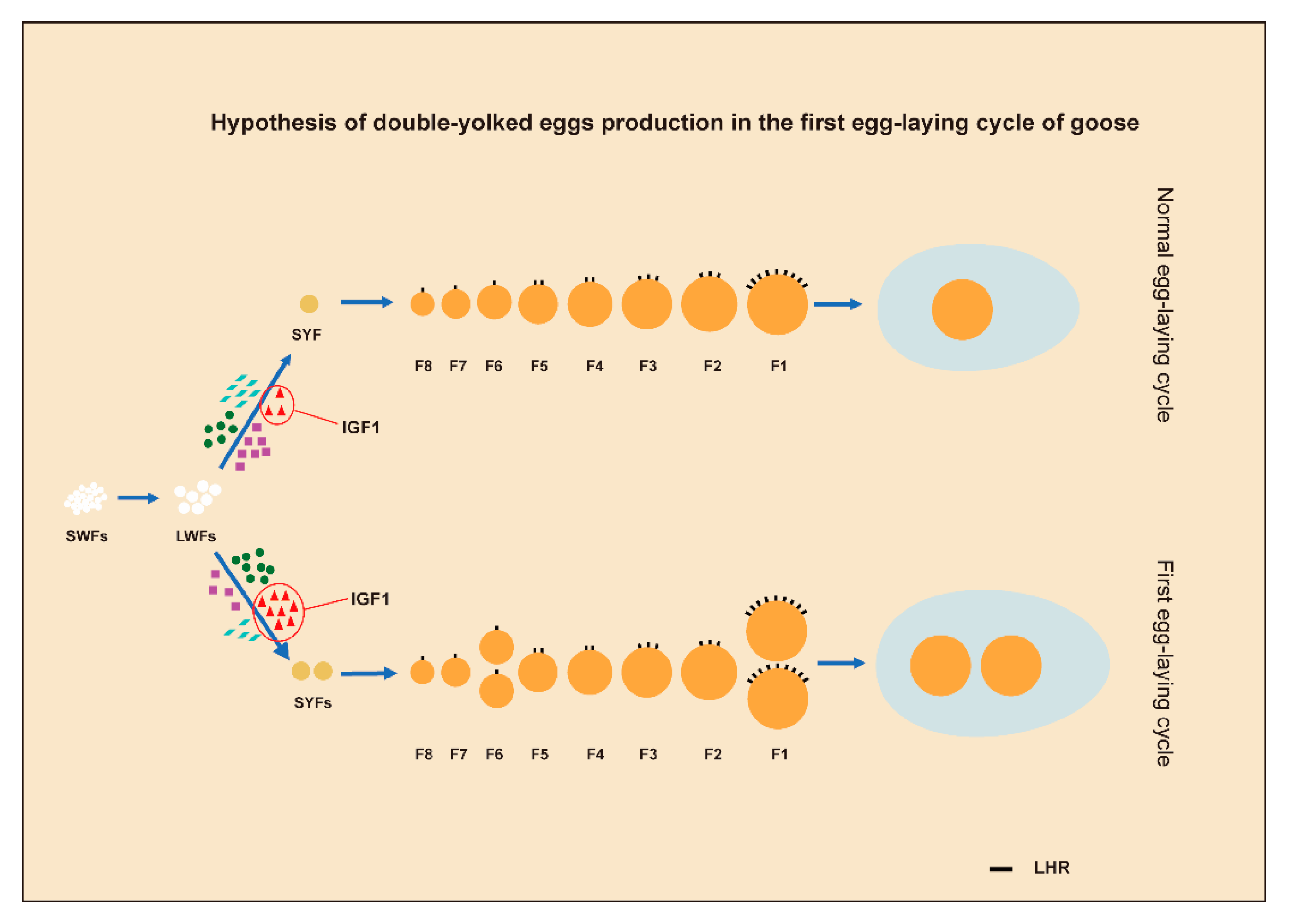 Animals 12 02964 g007