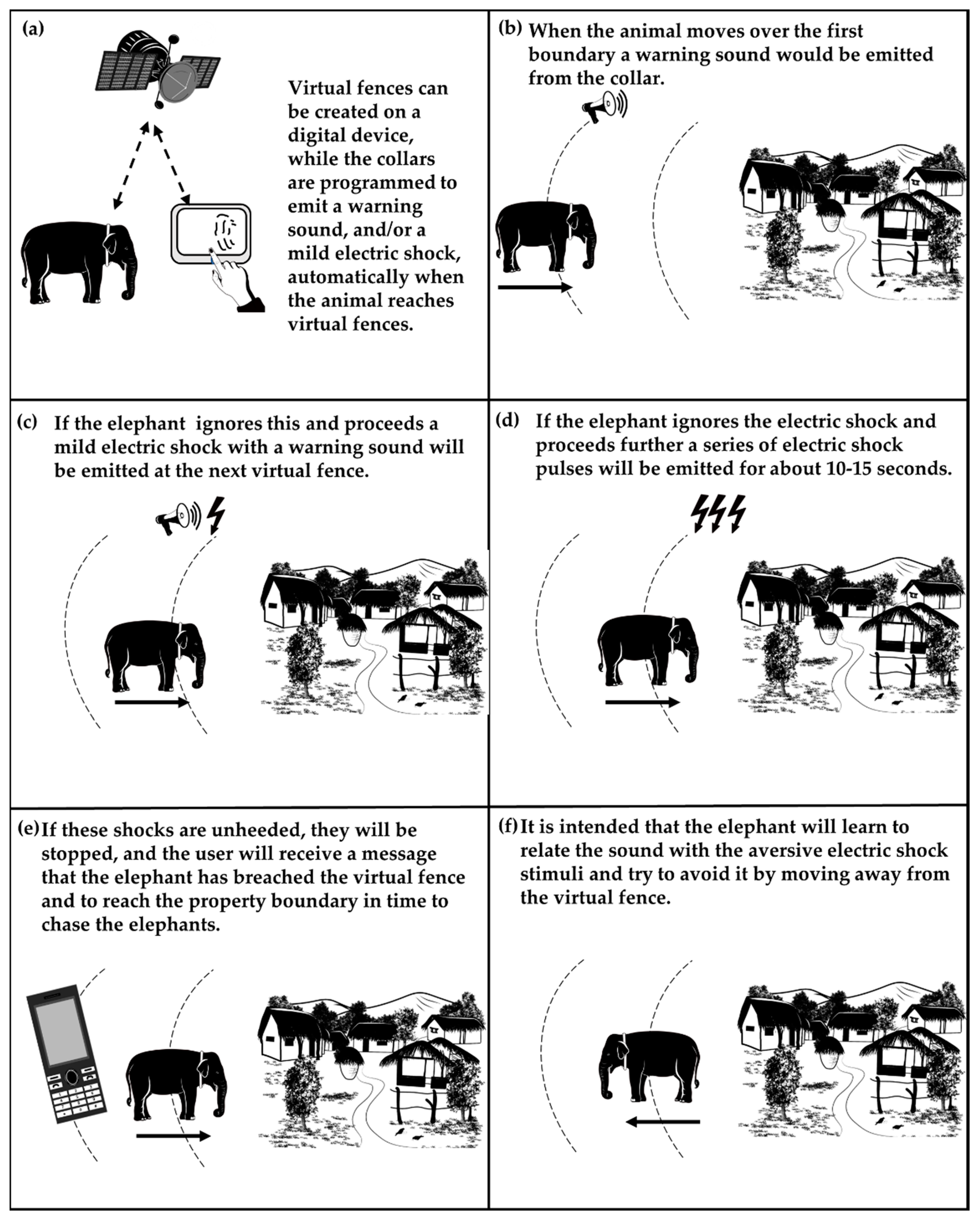 Animals 12 02965 g001