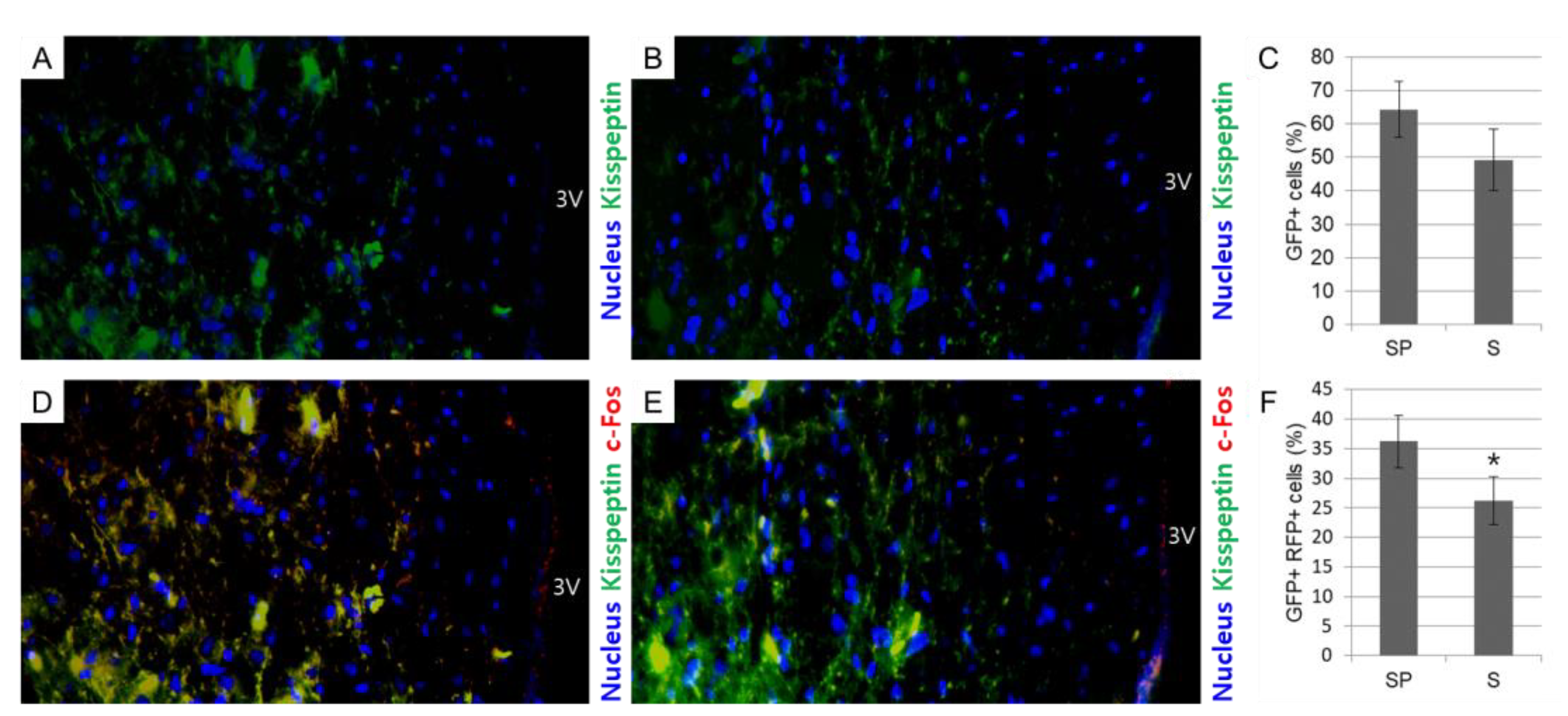 Animals 12 02967 g004 Animals 12 02967 g004