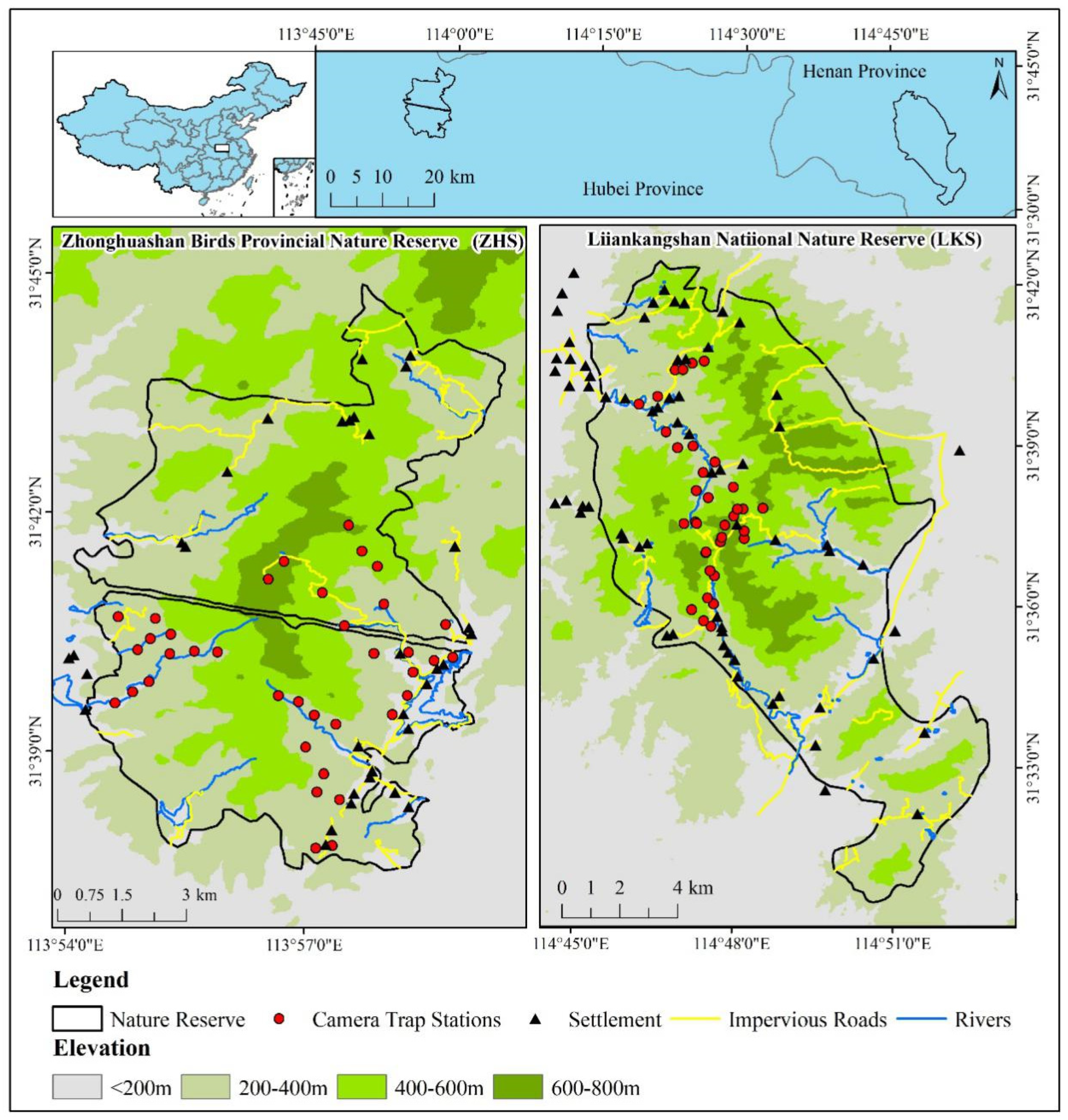 Animals 12 02968 g001