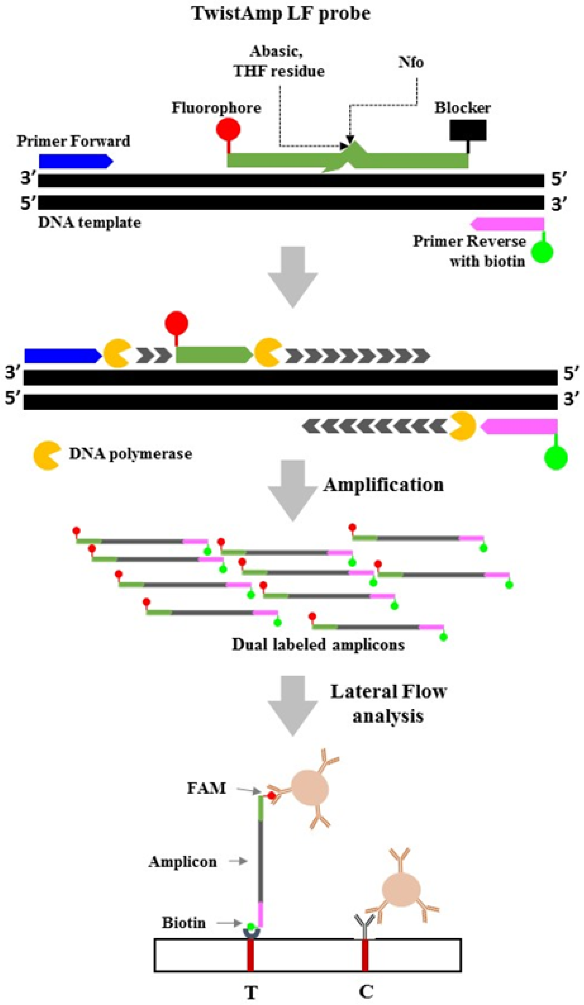 Animals 12 02969 g001 Animals 12 02969 g001