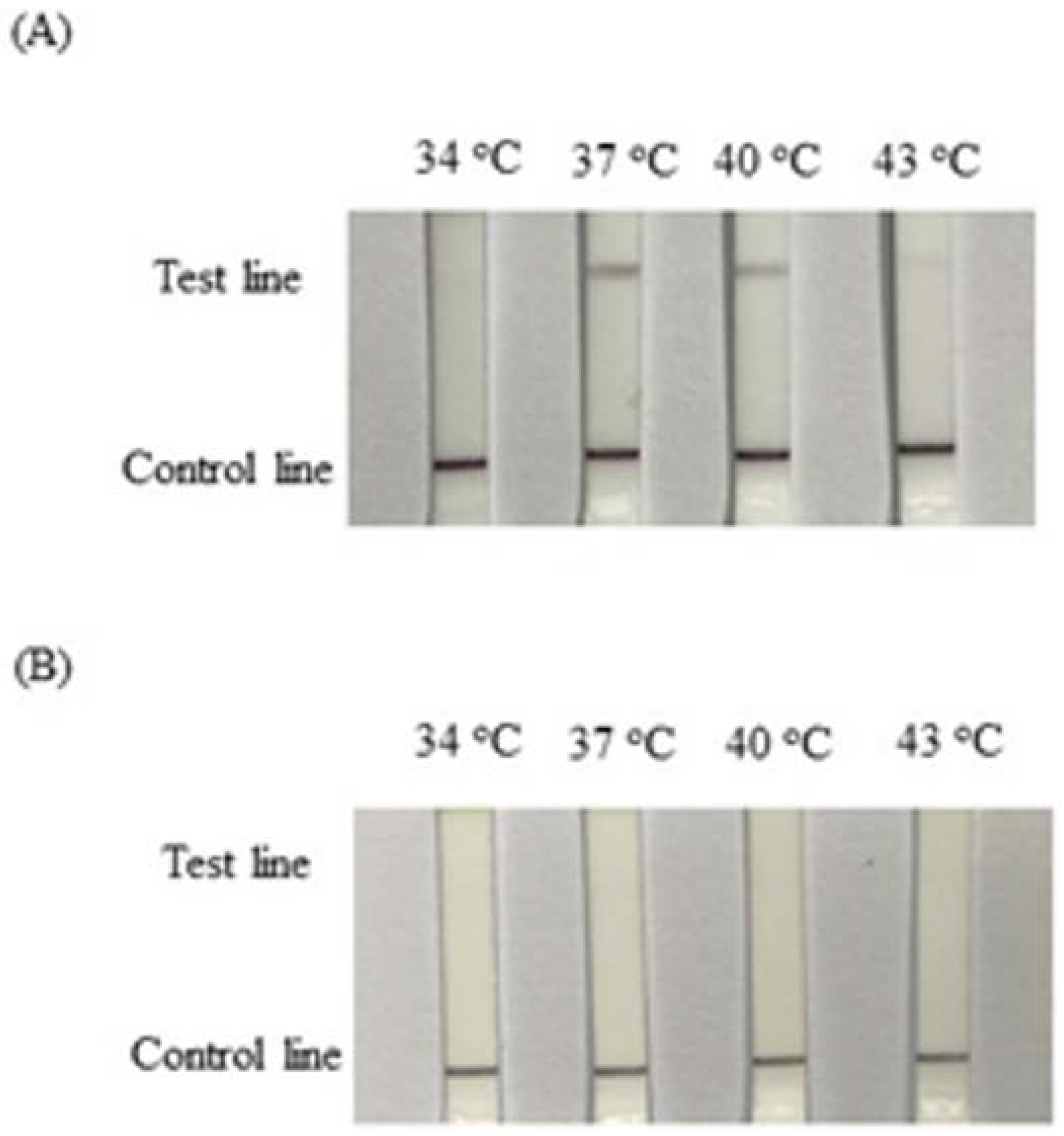 Animals 12 02969 g002 Animals 12 02969 g002
