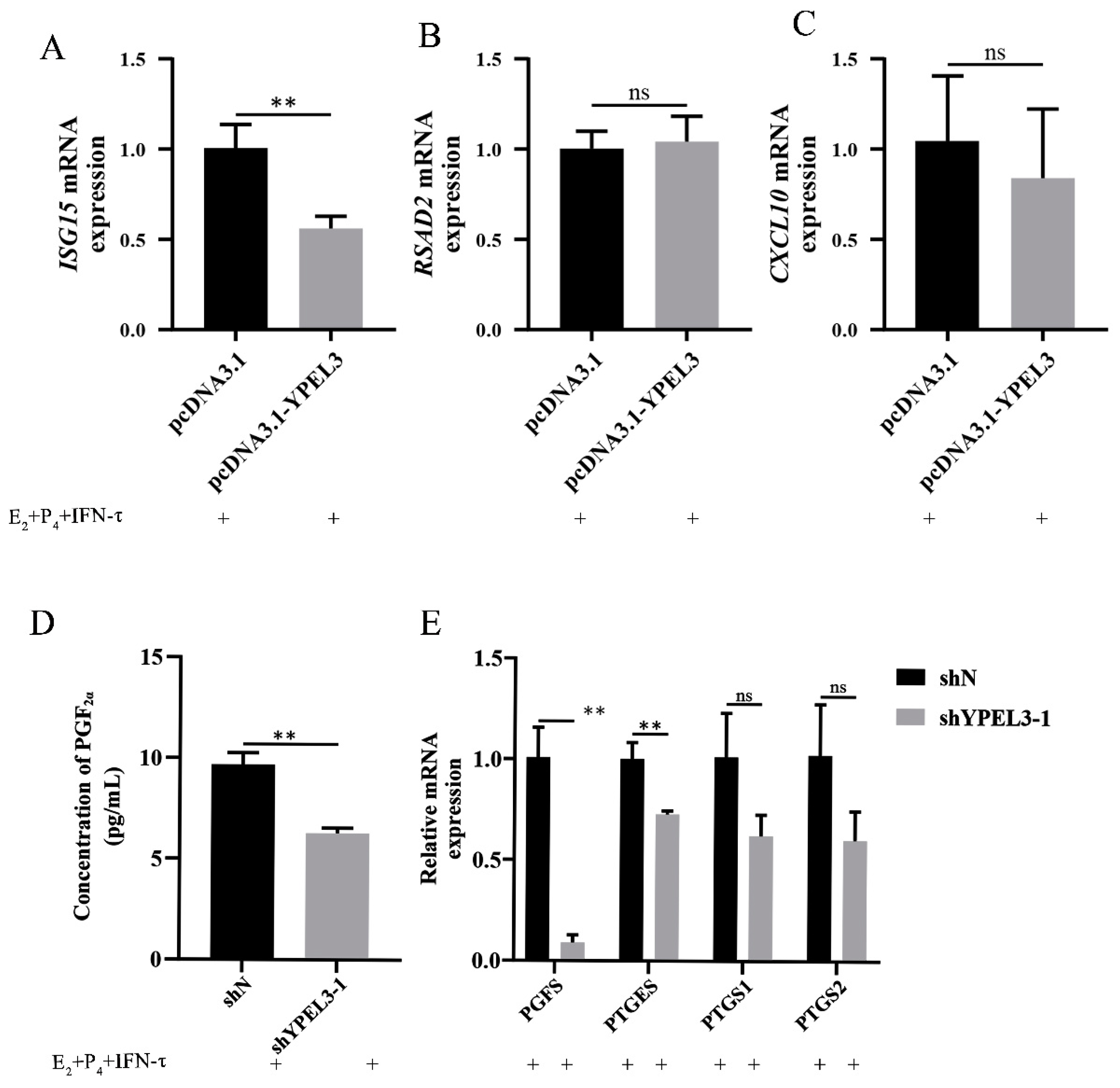 Animals 12 02973 g003