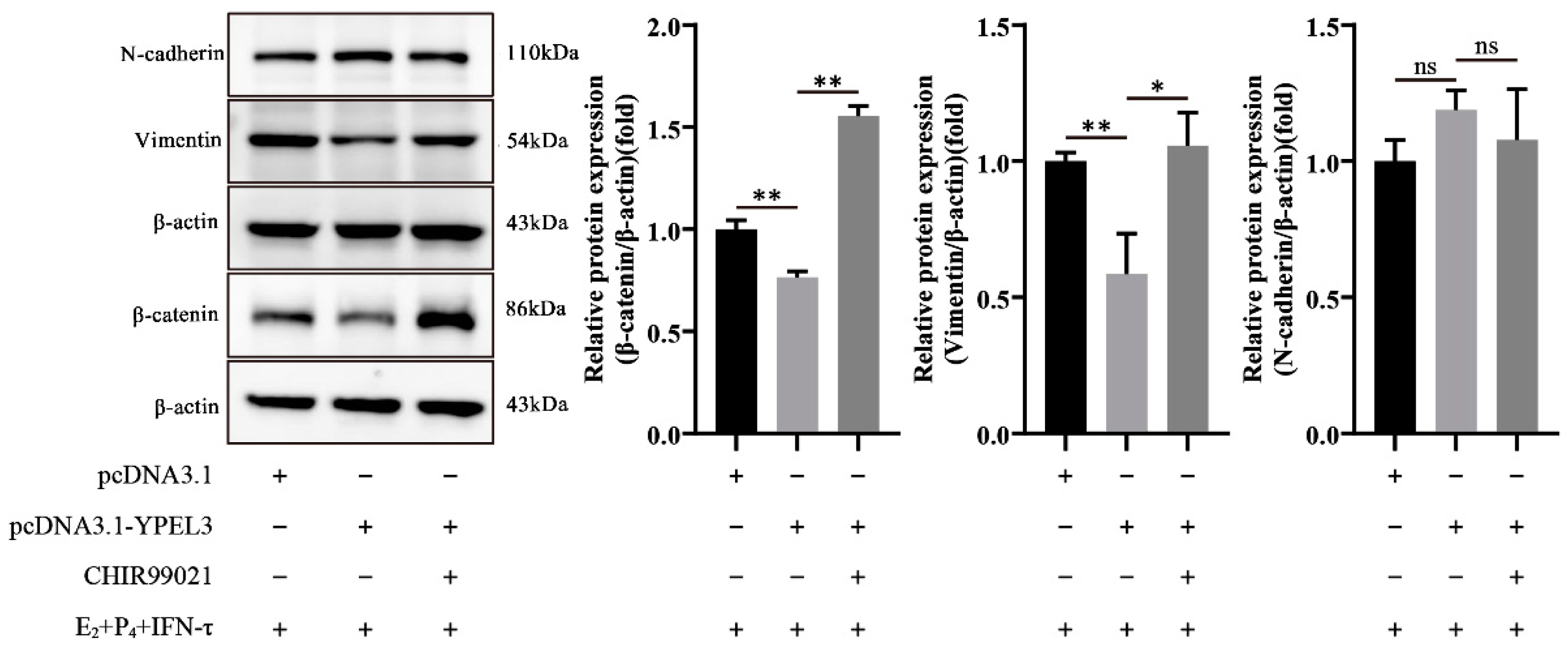 Animals 12 02973 g006