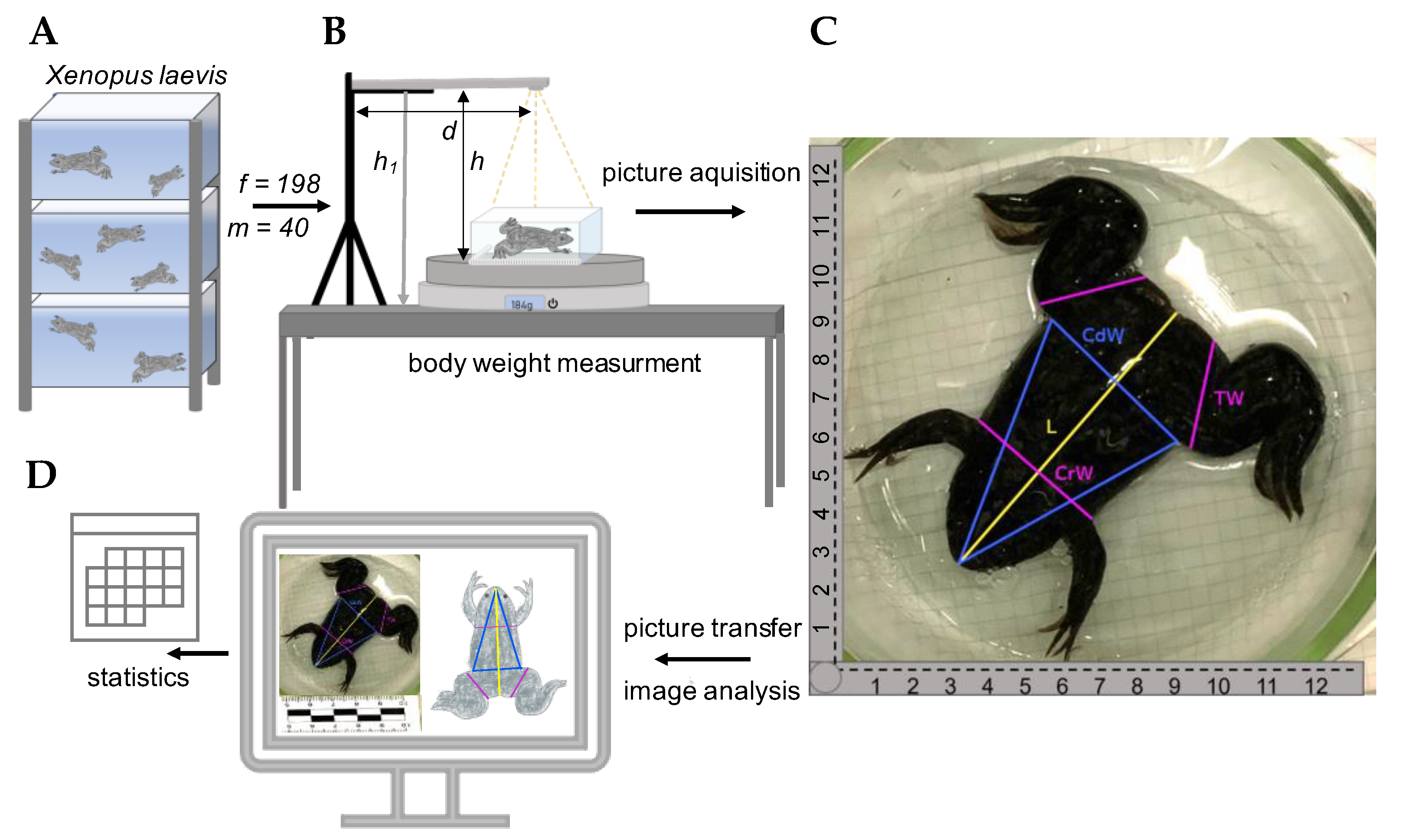 Animals 12 02986 g001
