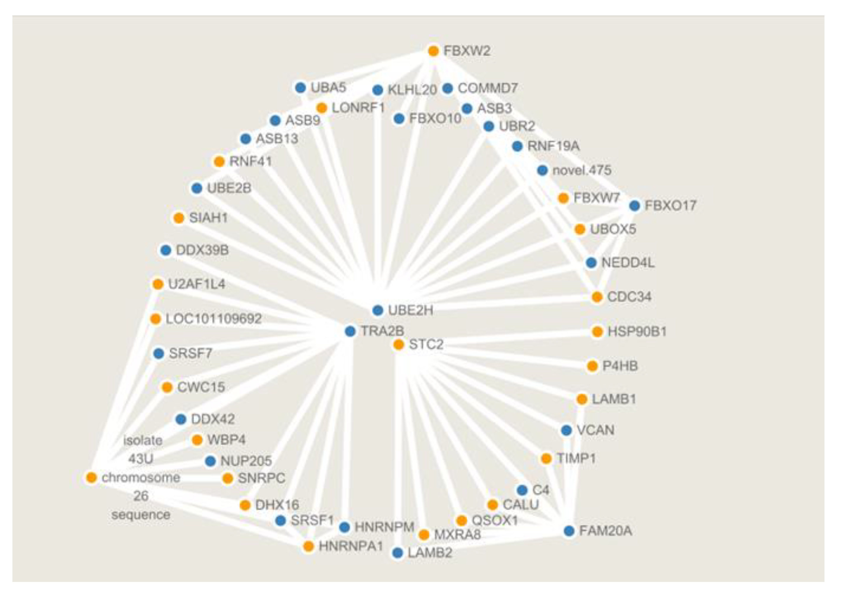 Animals 12 02989 g010