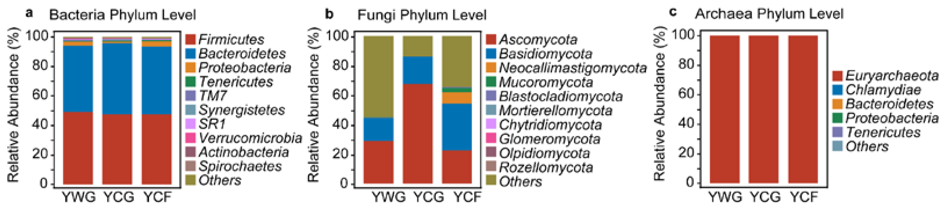 Animals 12 02991 g003