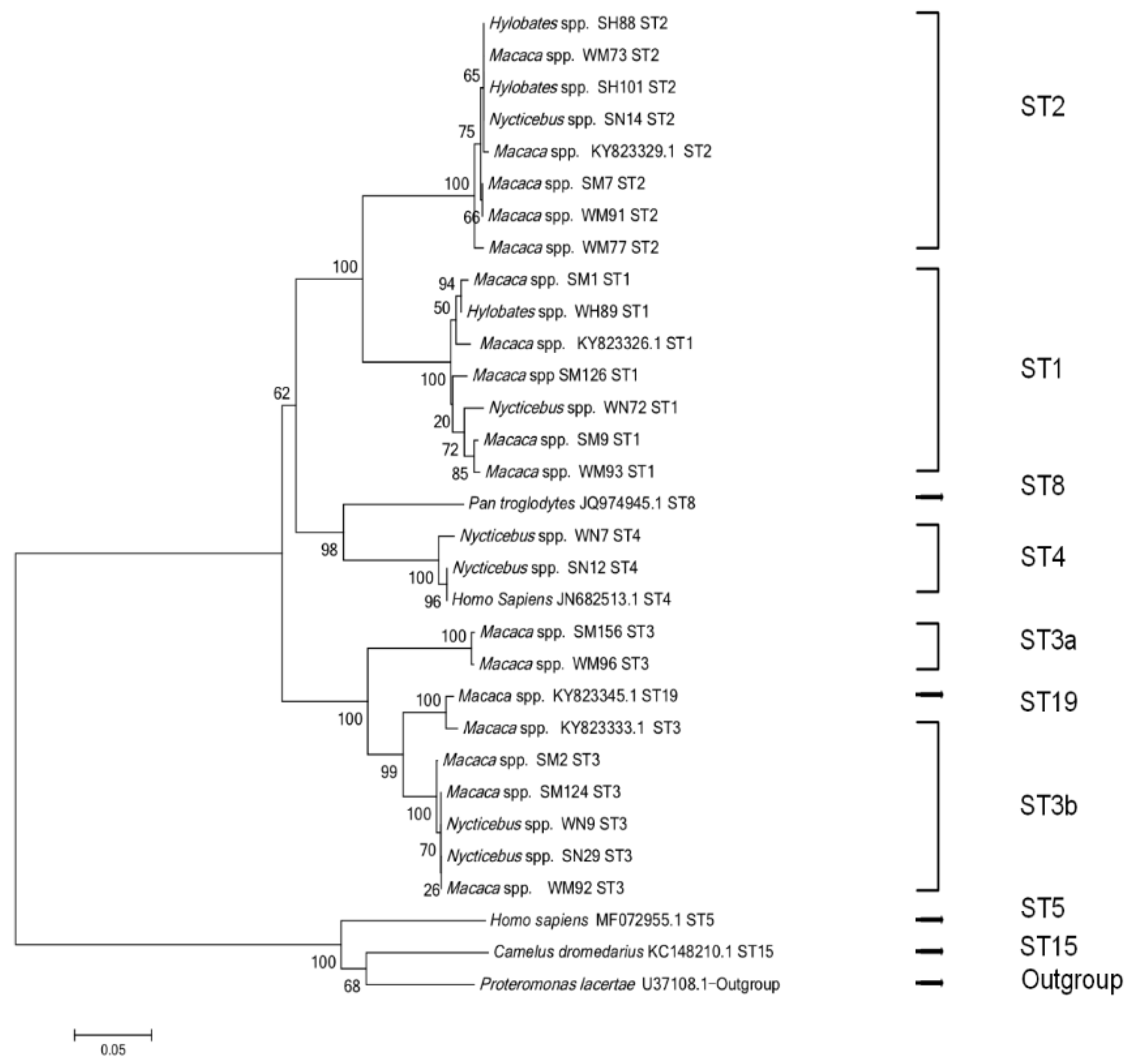 Animals 12 02992 g001