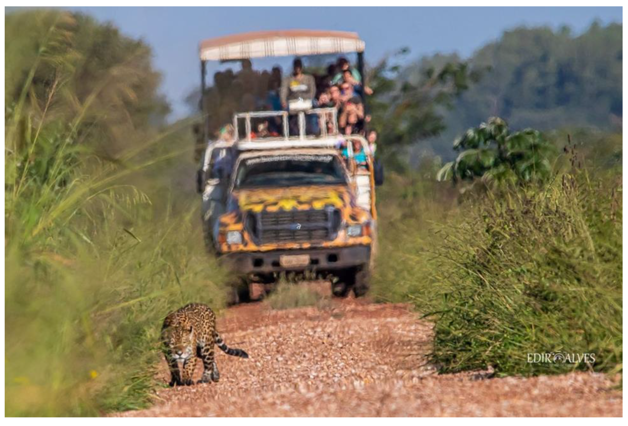 Animals 12 02996 g002