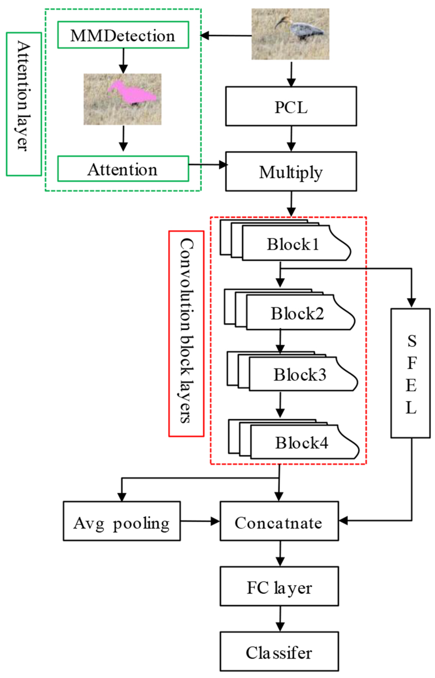 Animals 12 03000 g002