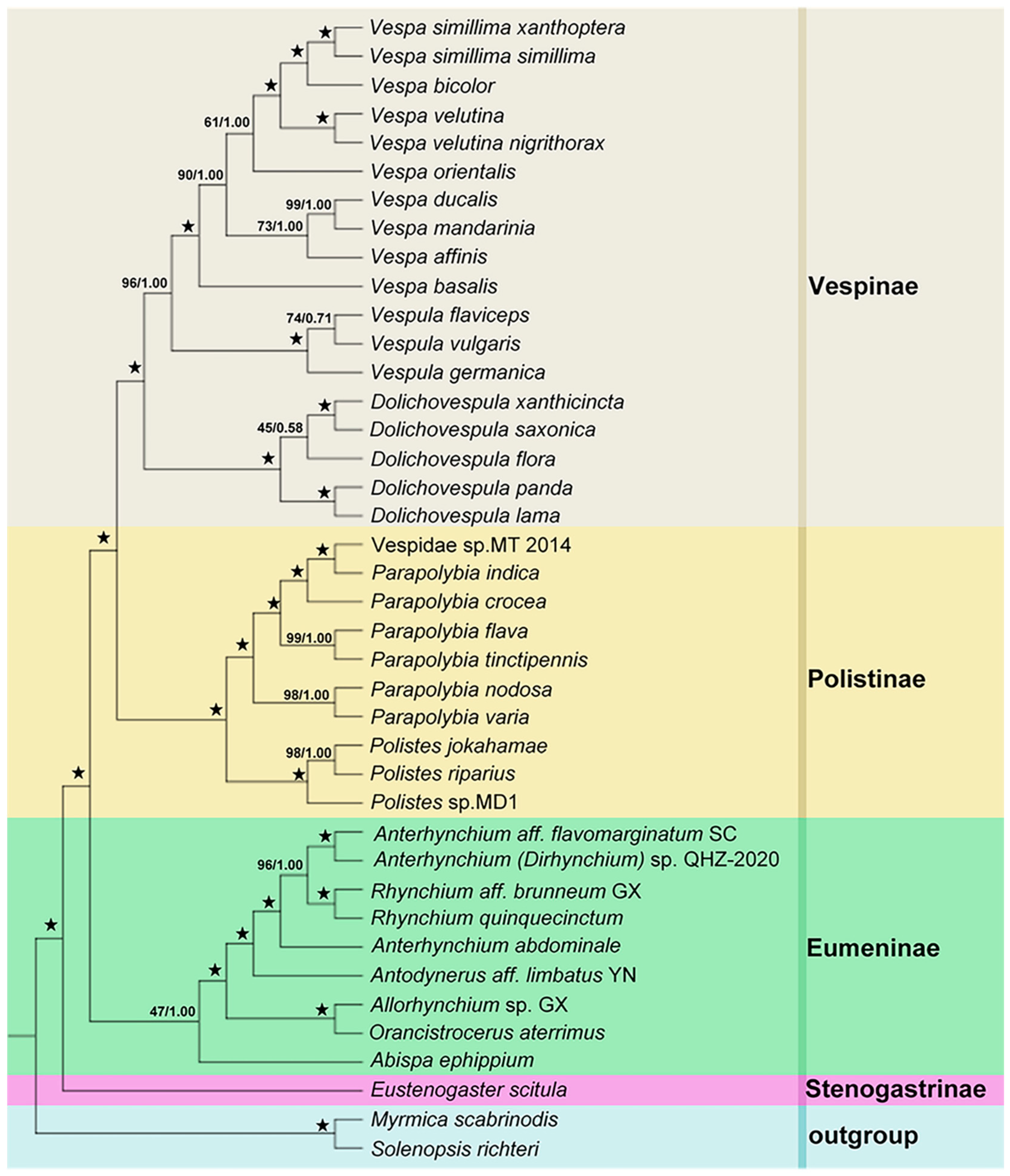 Animals 12 03004 g004