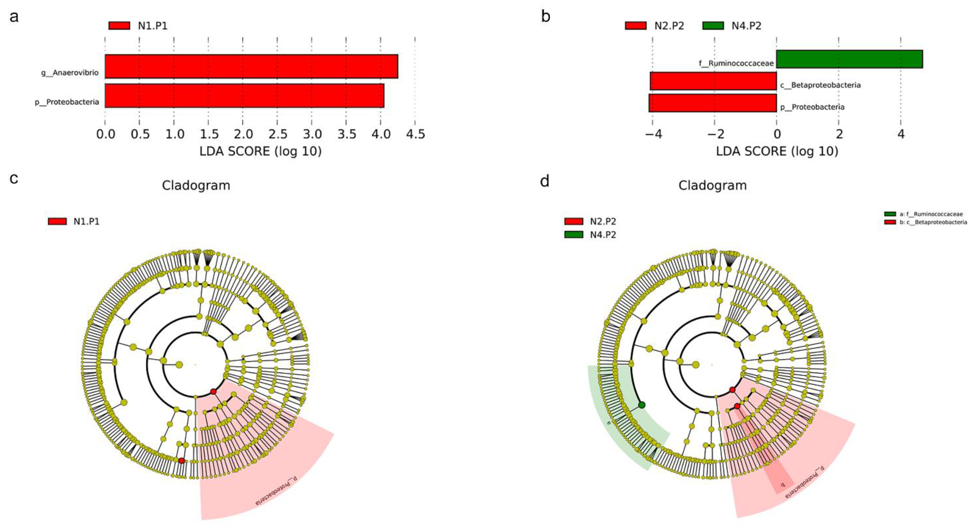 Animals 12 03018 g007